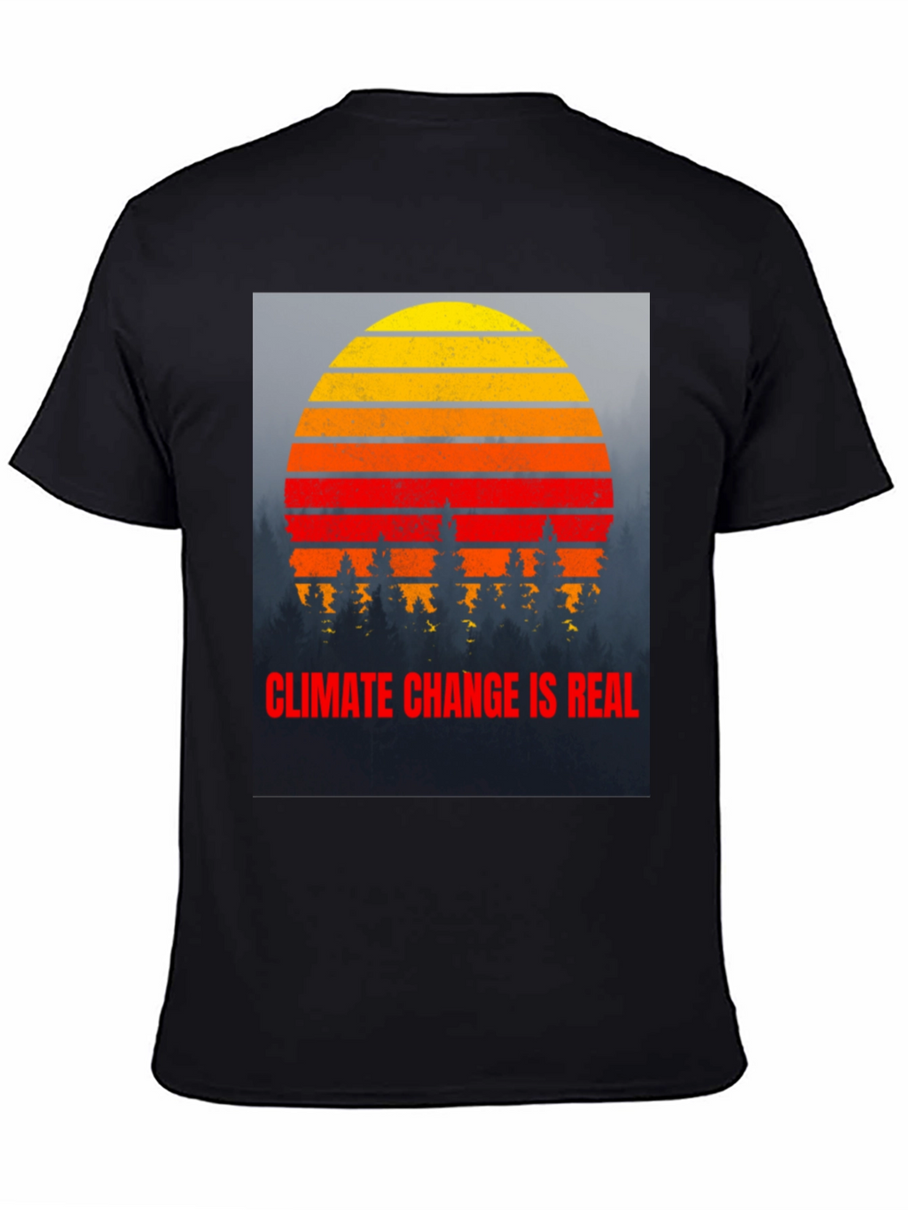 Climate Change is Real Graphic T-Shirt