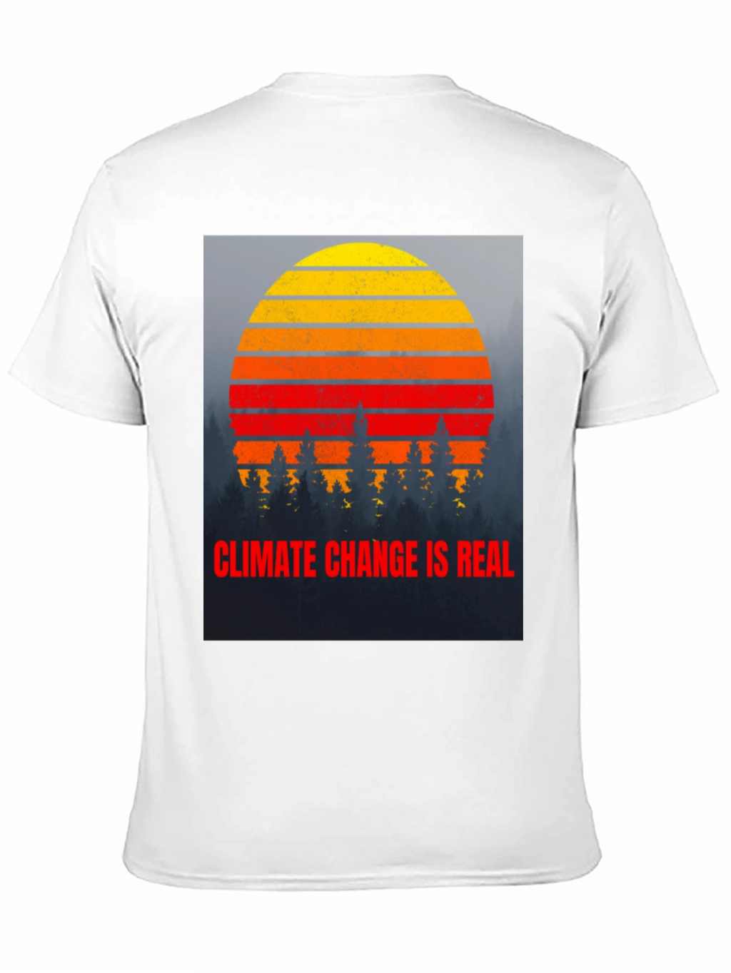 Climate Change is Real Graphic T-Shirt