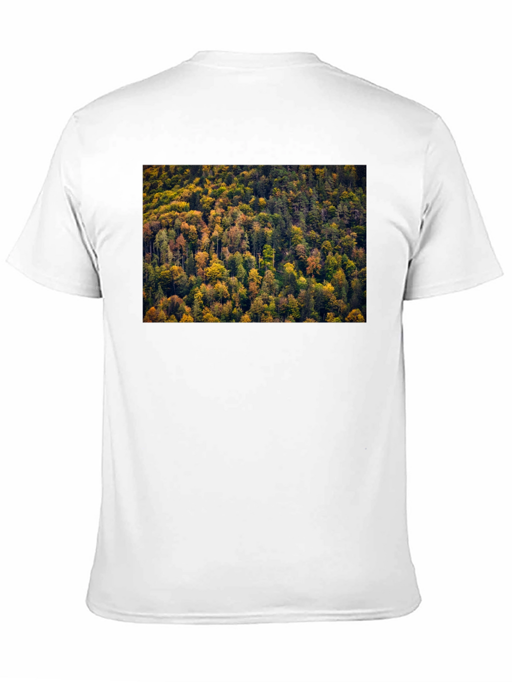 Autumn Forest T-Shirt - Nature Inspired Tee