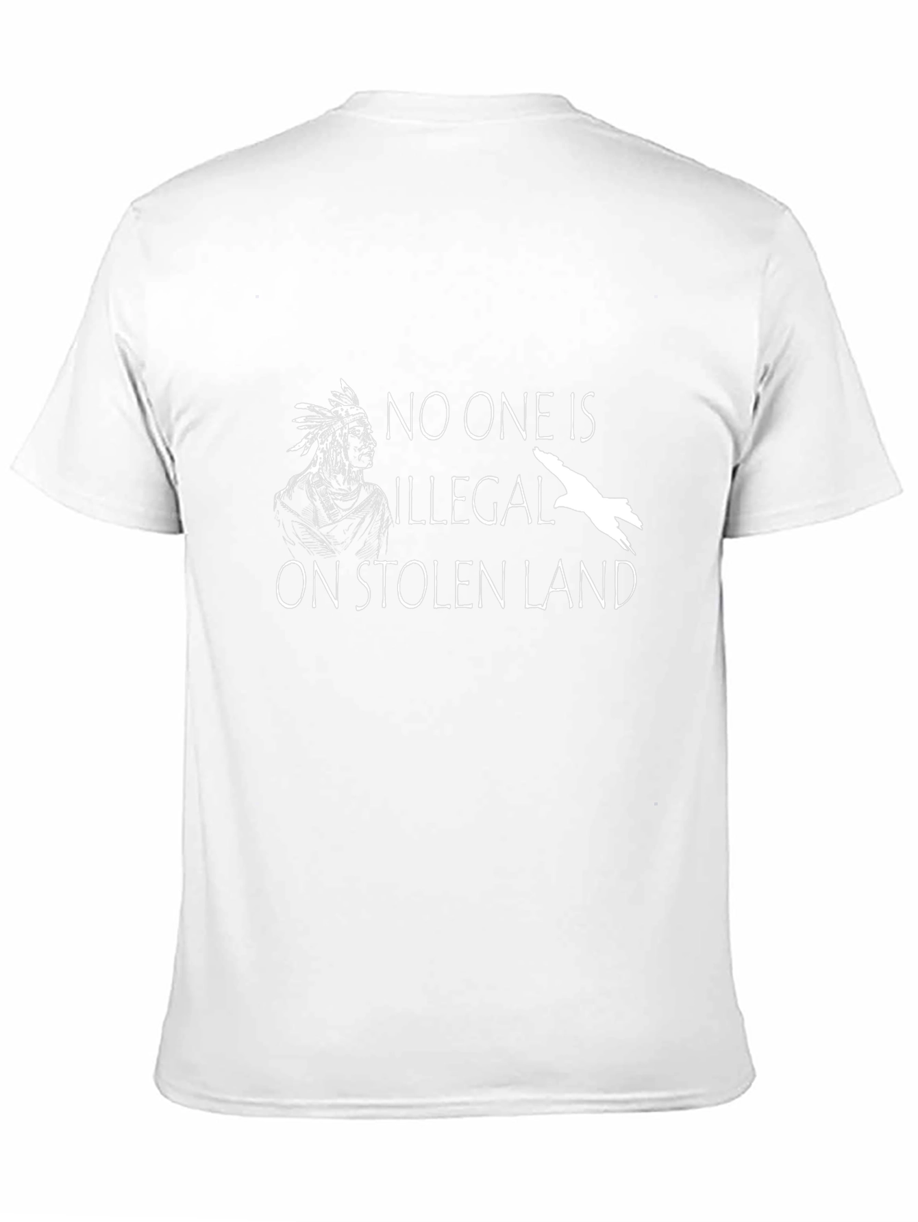 Stolen Land T-Shirt - Native American Solidarity Tee