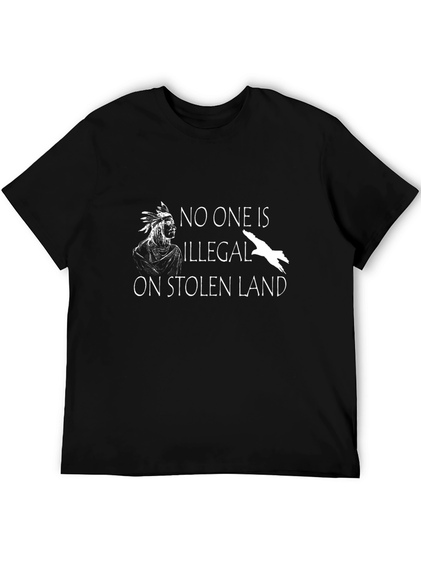 Stolen Land T-Shirt - Native American Solidarity Tee