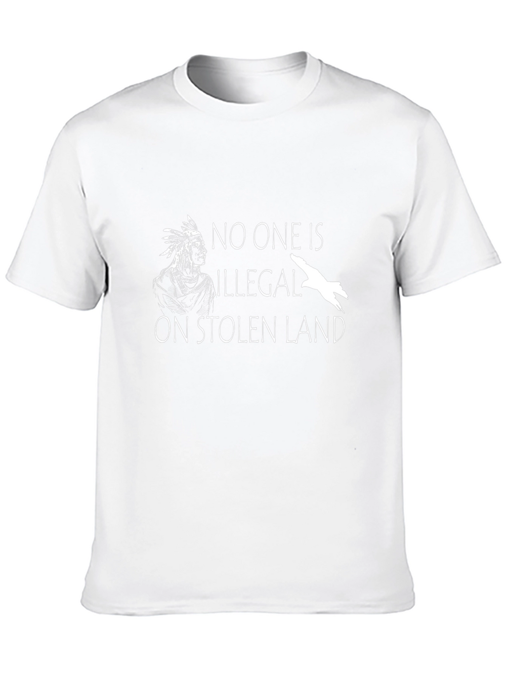 Stolen Land T-Shirt - Native American Solidarity Tee