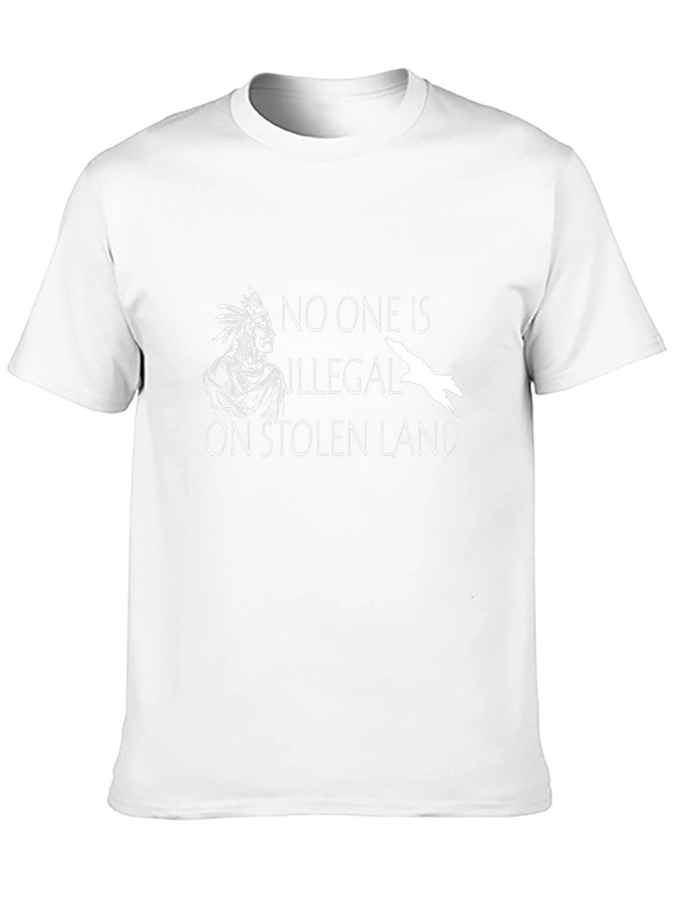 Stolen Land T-Shirt - Native American Solidarity Tee