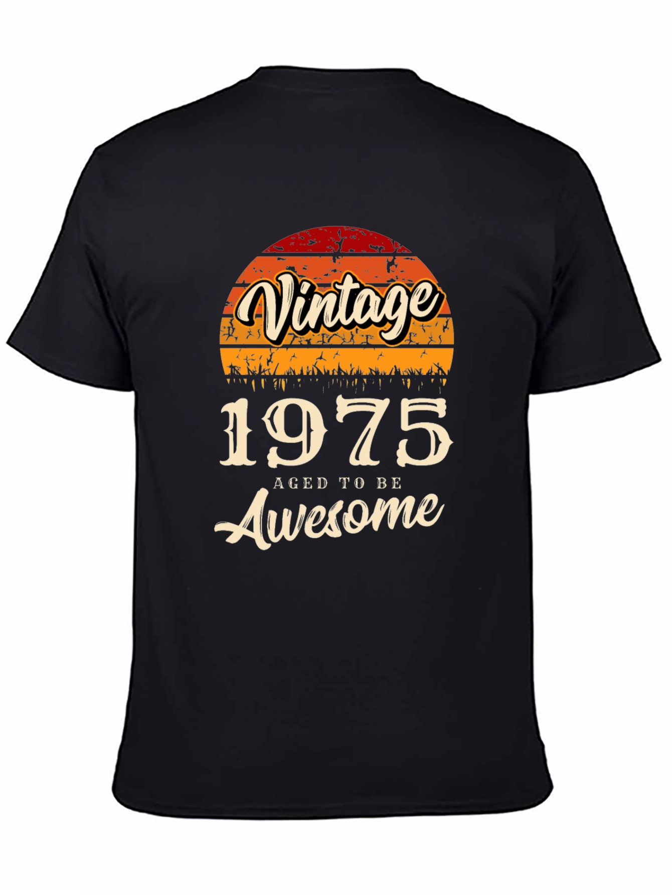 Vintage 1975 Aged To Be Awesome T-Shirt
