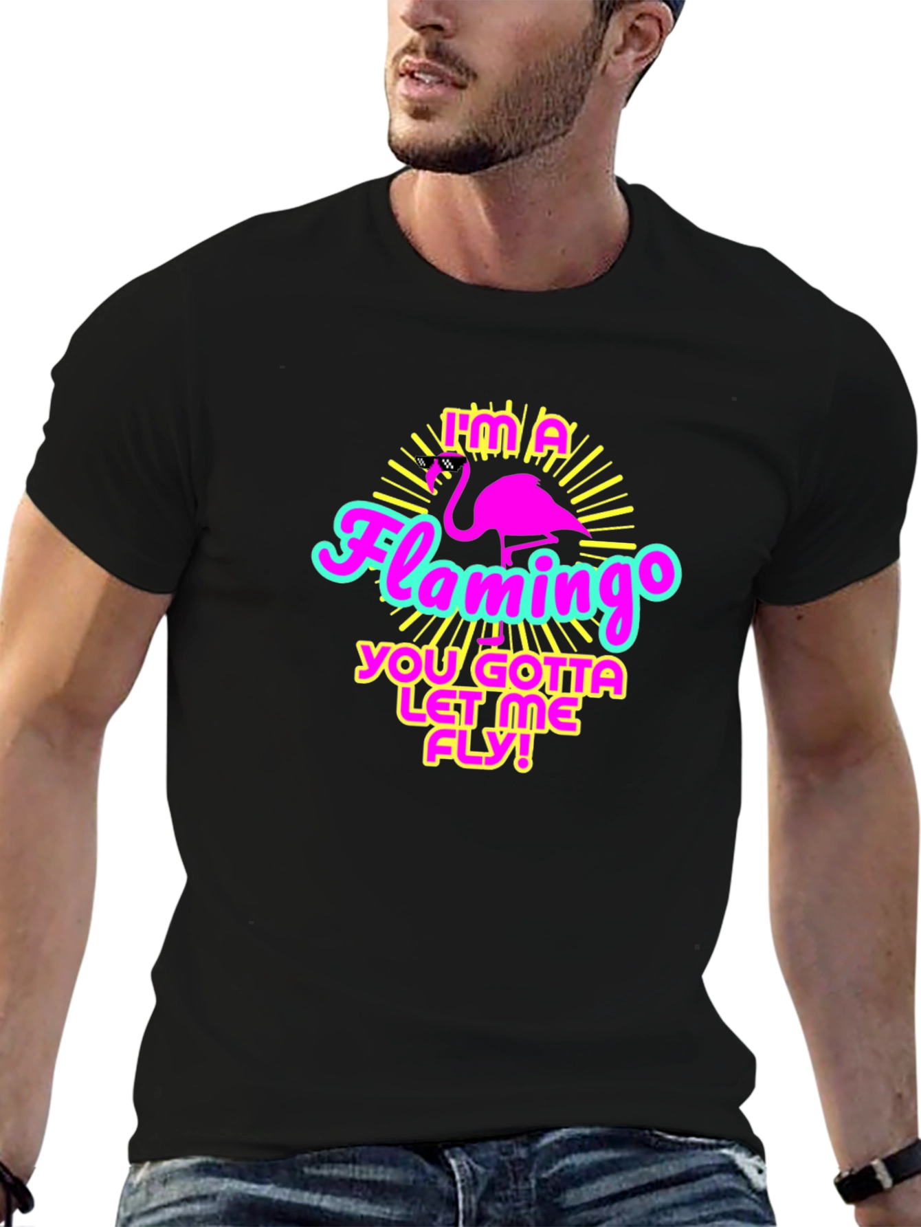 Im a Flamingo T-Shirt