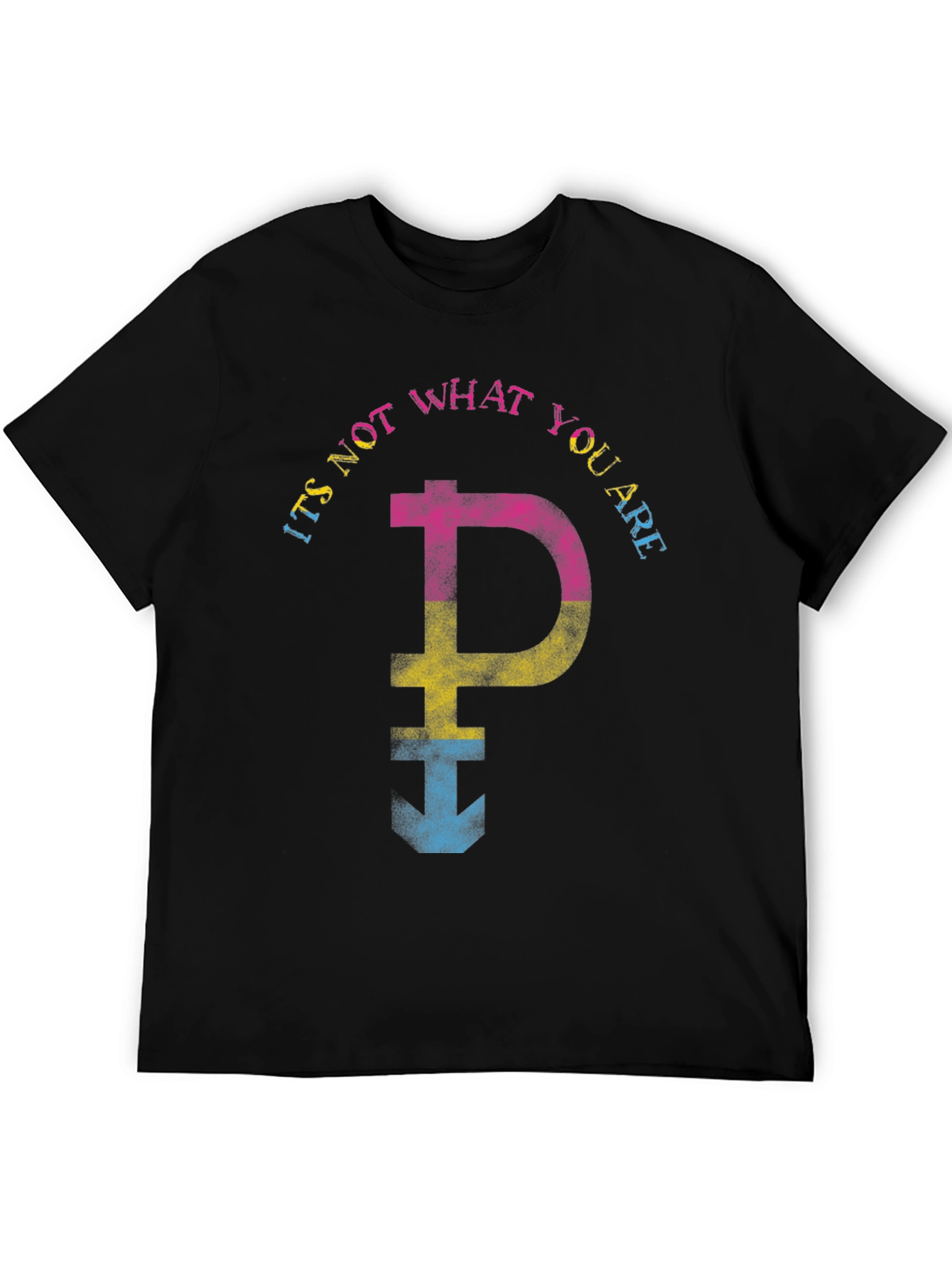 Pansexual Pride T-Shirt - Its Not What You Are