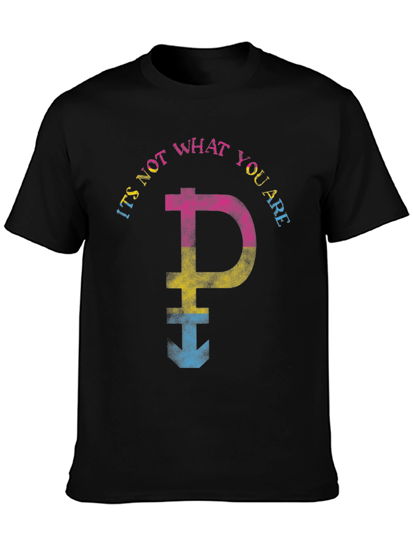 Pansexual Pride T-Shirt - Its Not What You Are