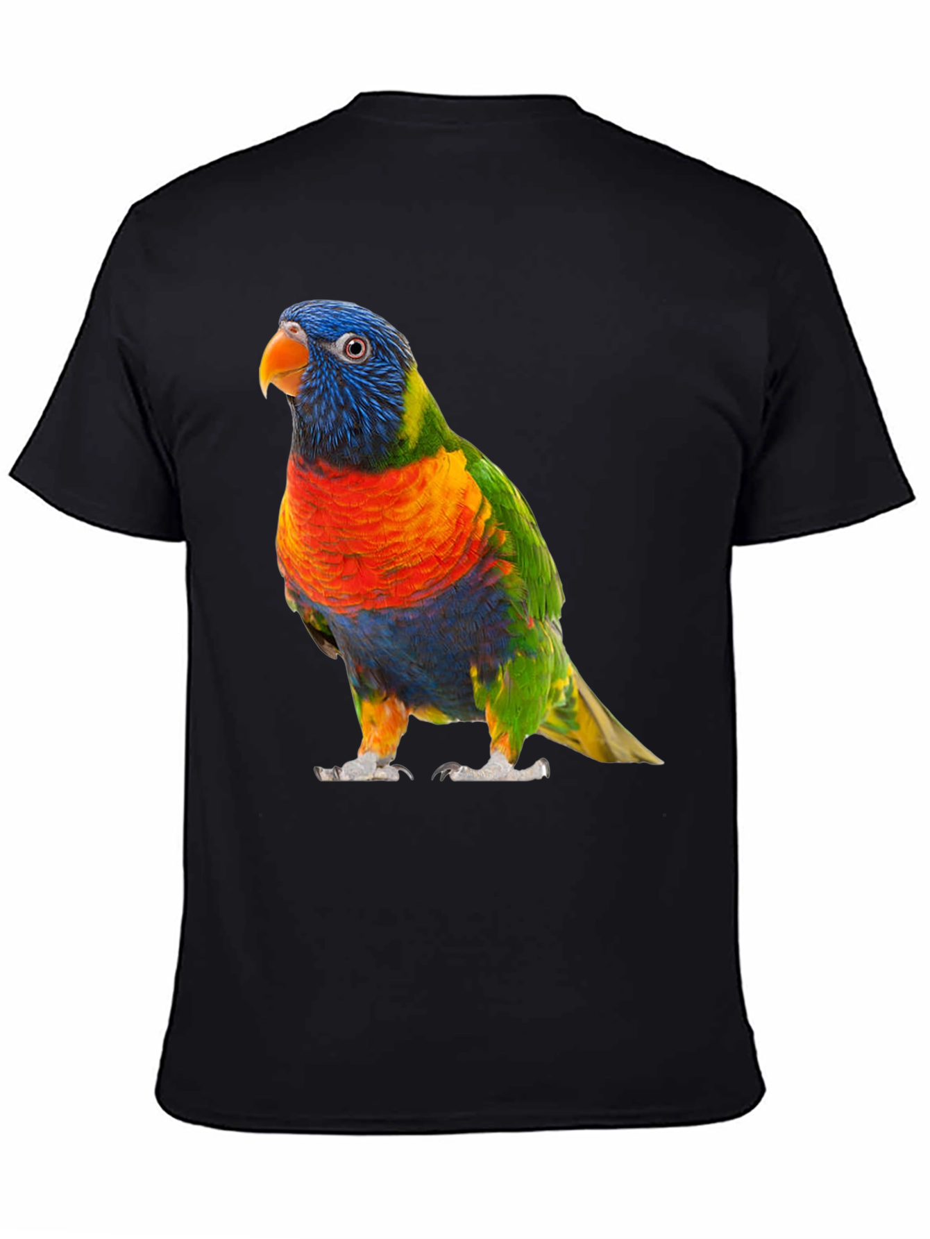 Vibrant Lorikeet Bird Graphic T-Shirt