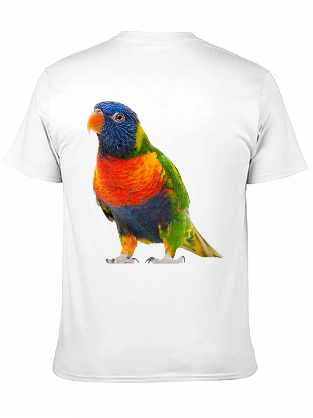 Vibrant Lorikeet Bird Graphic T-Shirt