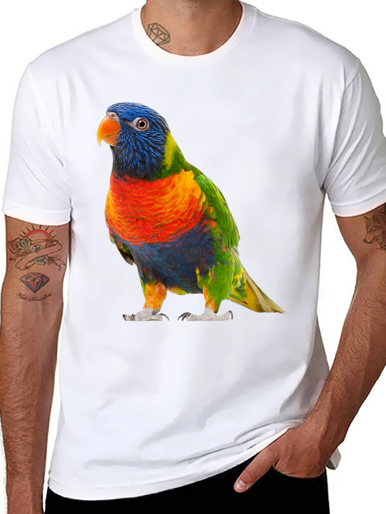 Vibrant Lorikeet Bird Graphic T-Shirt