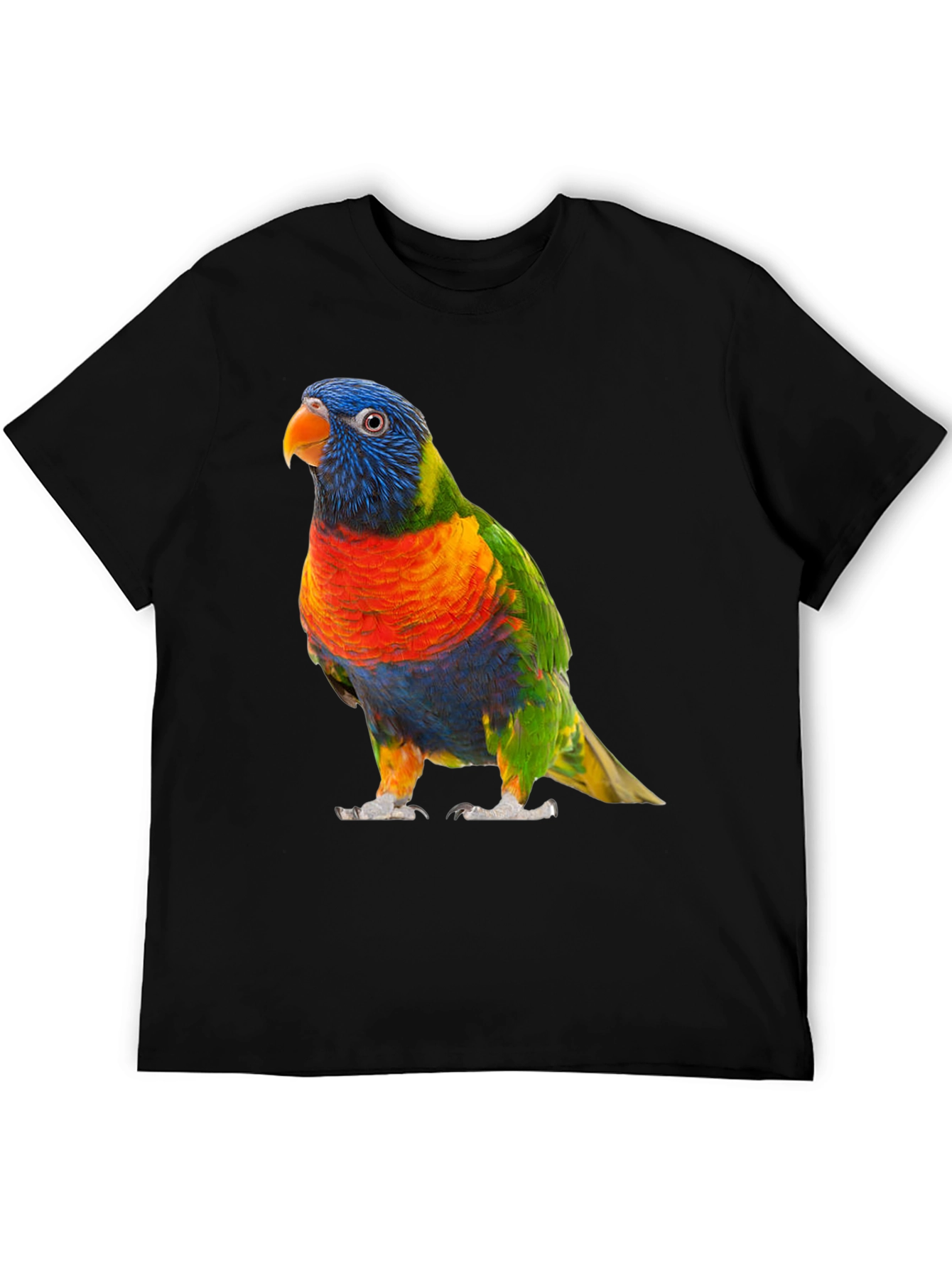 Vibrant Lorikeet Bird Graphic T-Shirt
