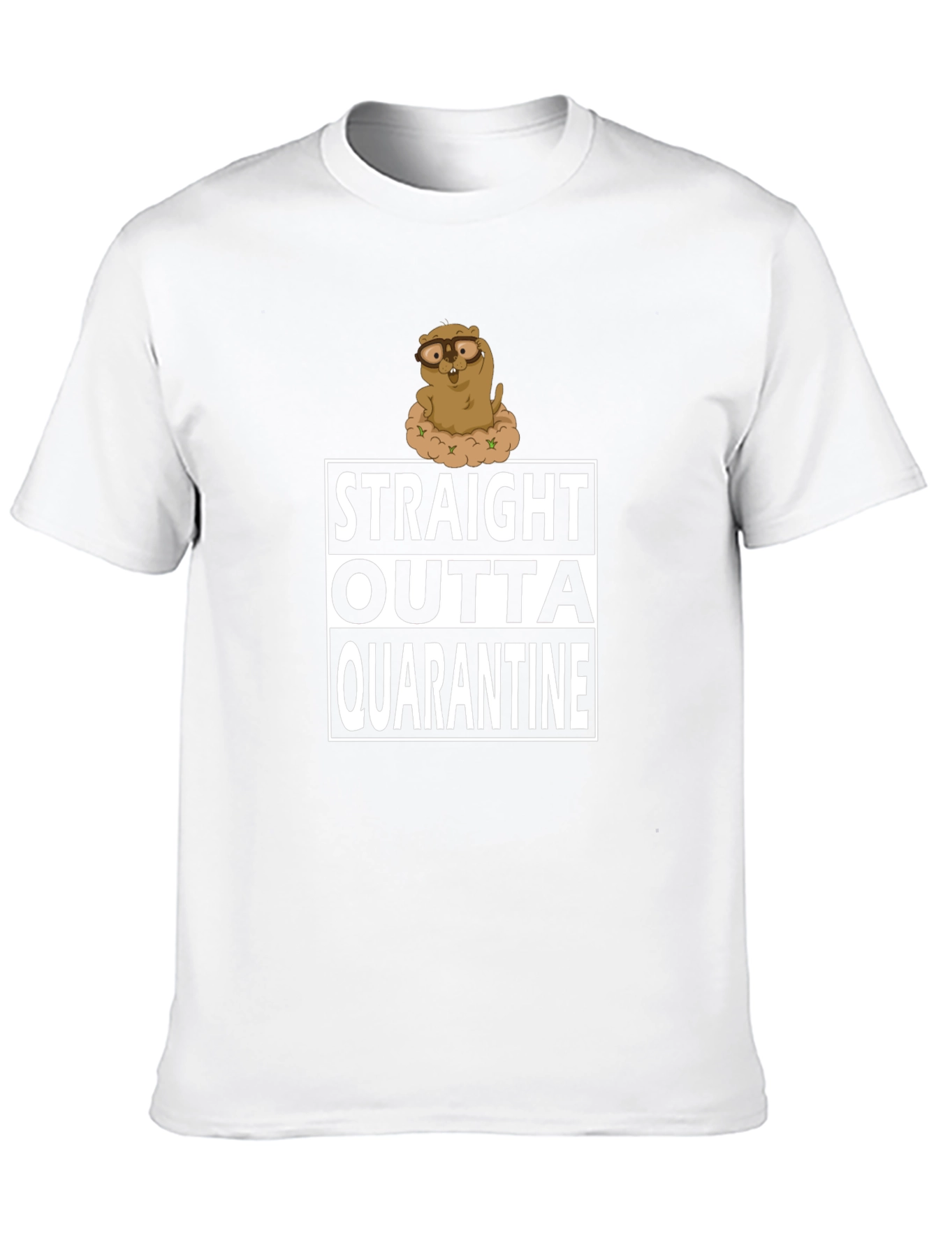 Straight Outta Quarantine T-Shirt Funny Groundhog