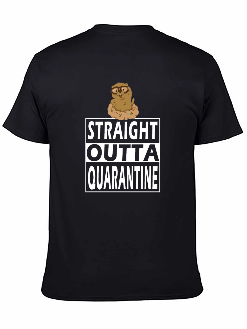 Straight Outta Quarantine T-Shirt Funny Groundhog