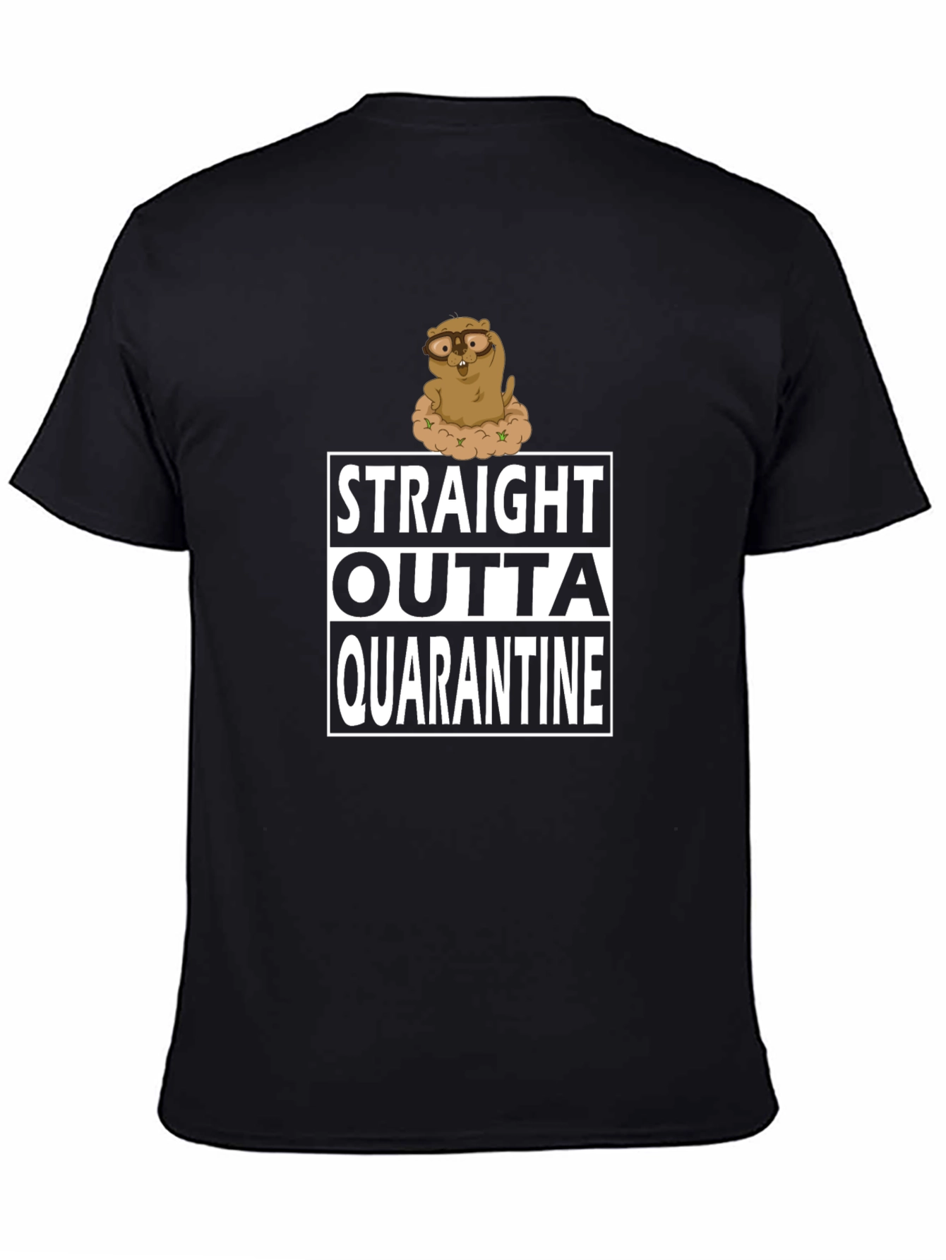 Straight Outta Quarantine T-Shirt Funny Groundhog