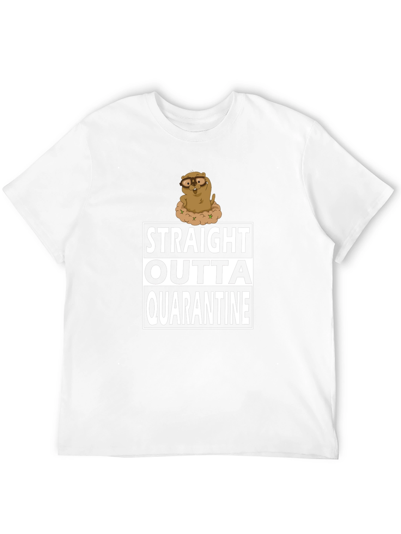 Straight Outta Quarantine T-Shirt Funny Groundhog
