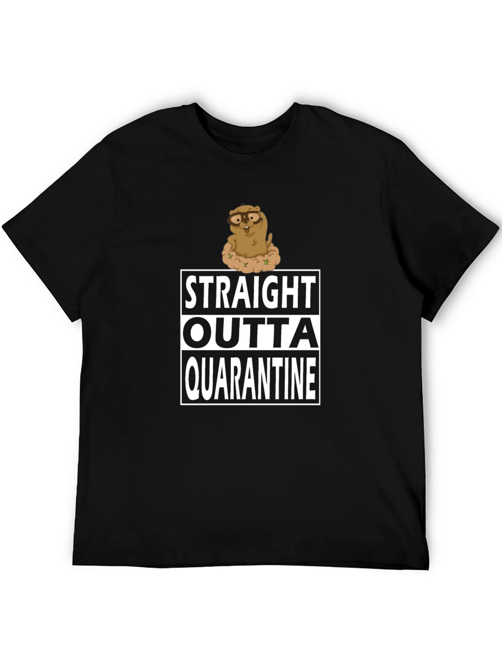 Straight Outta Quarantine T-Shirt Funny Groundhog