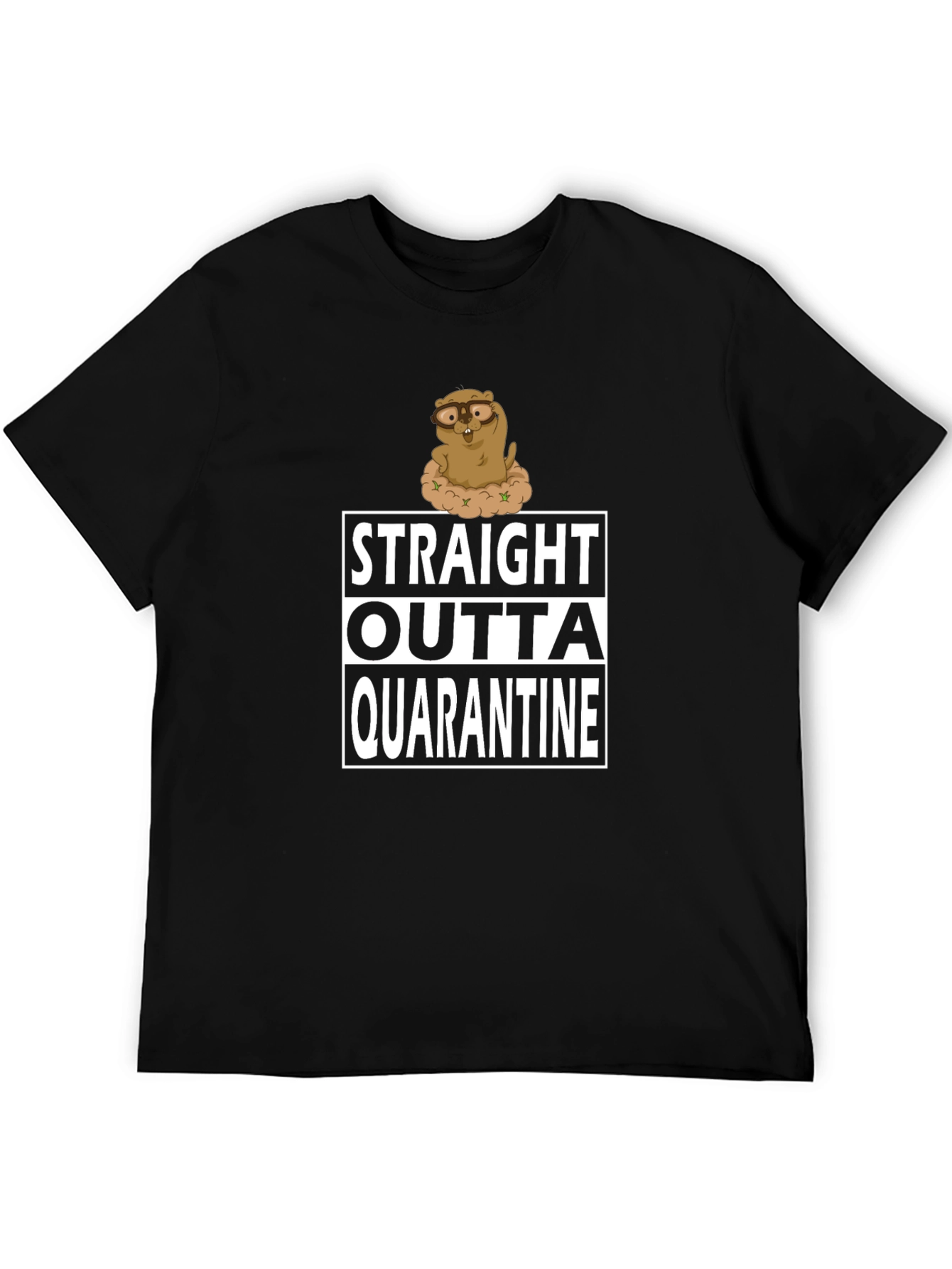 Straight Outta Quarantine T-Shirt Funny Groundhog