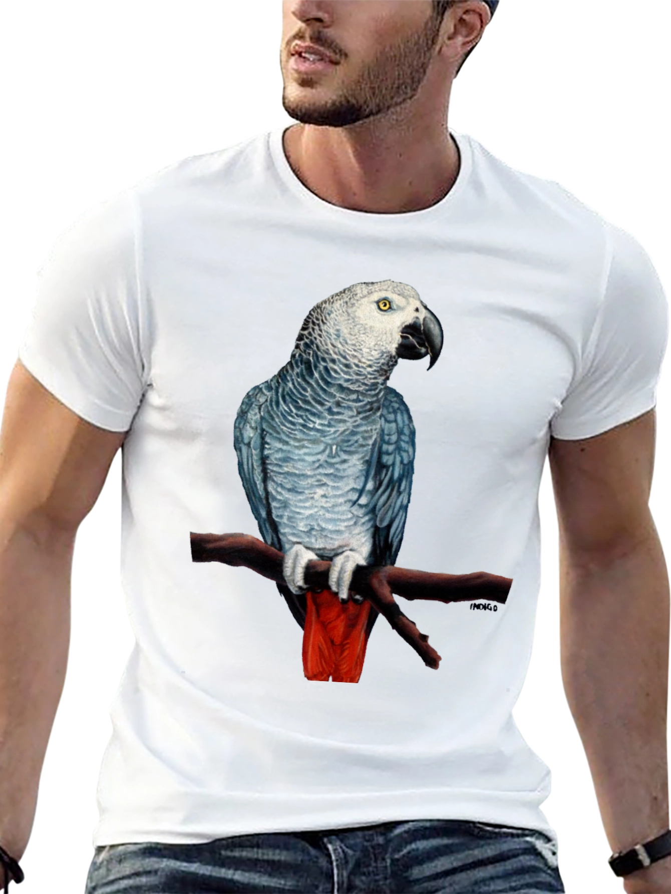 African Grey Parrot T-Shirt