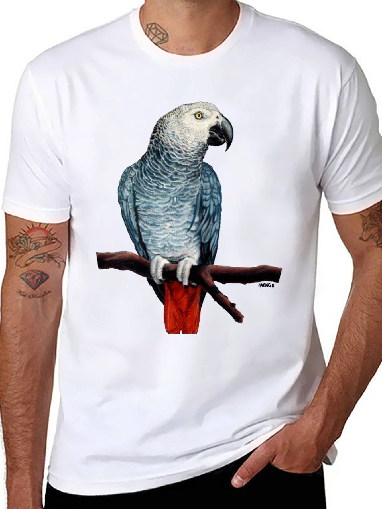African Grey Parrot T-Shirt