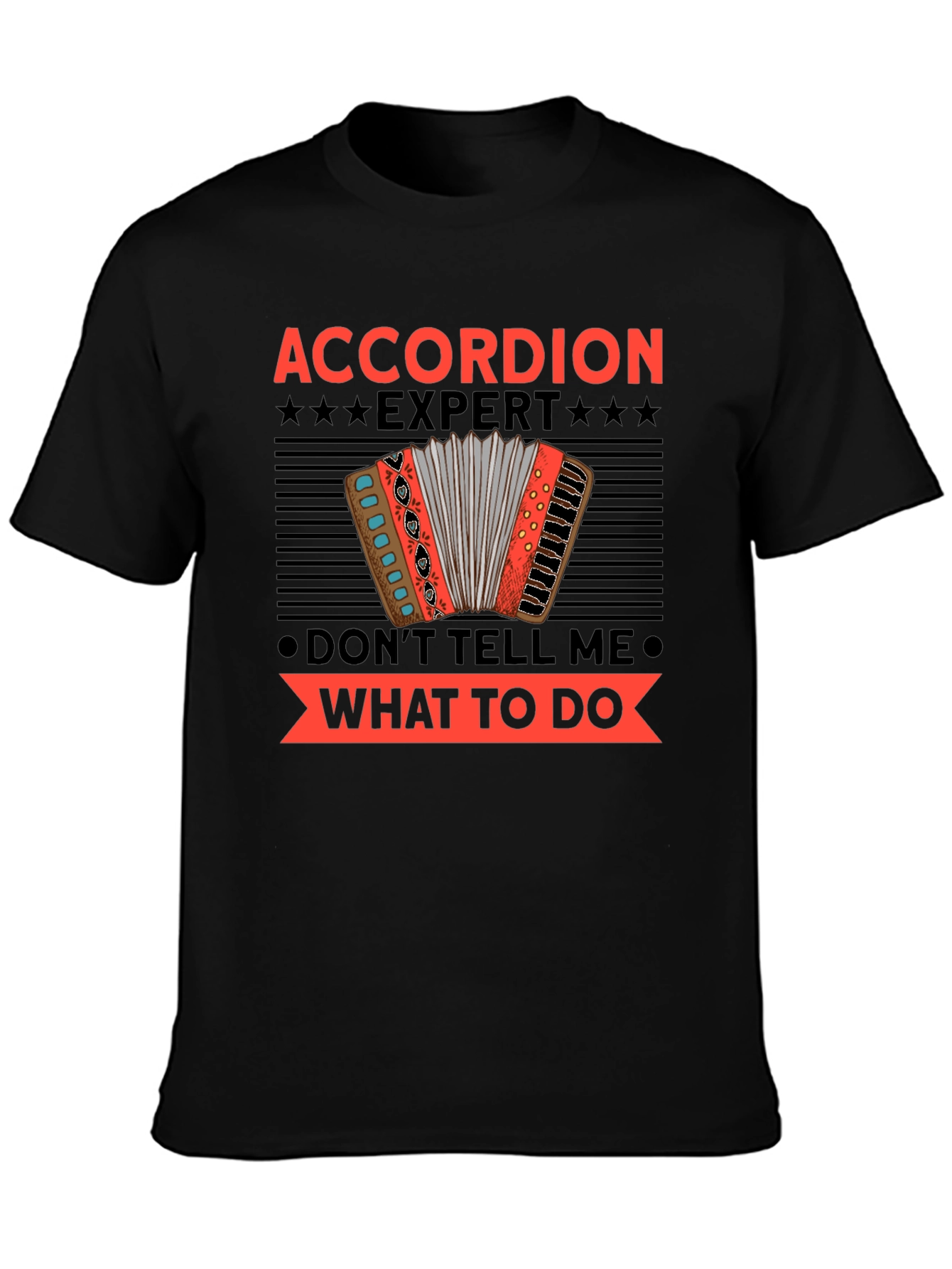 Accordion Expert Funny T-Shirt