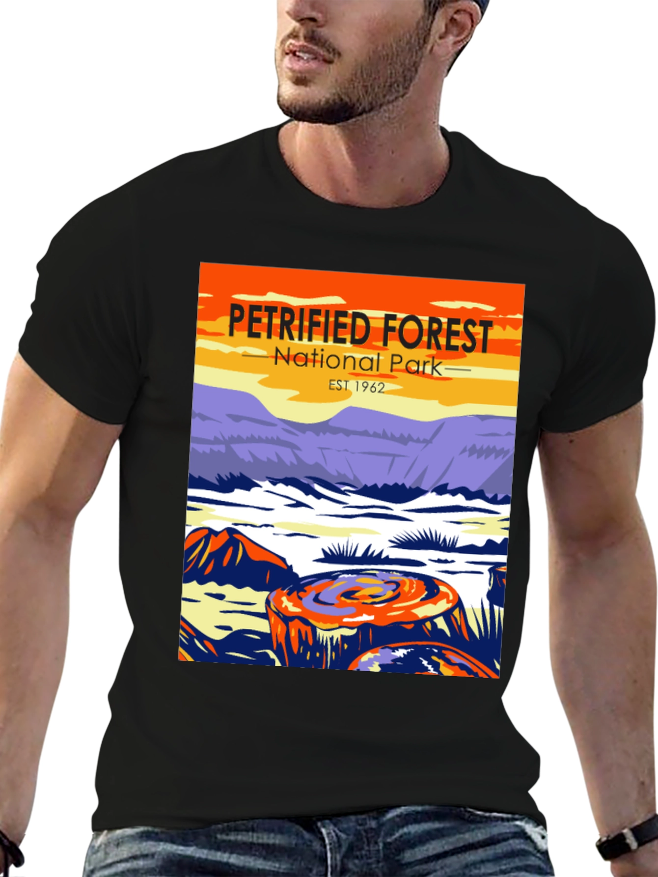 Petrified Forest National Park T-Shirt