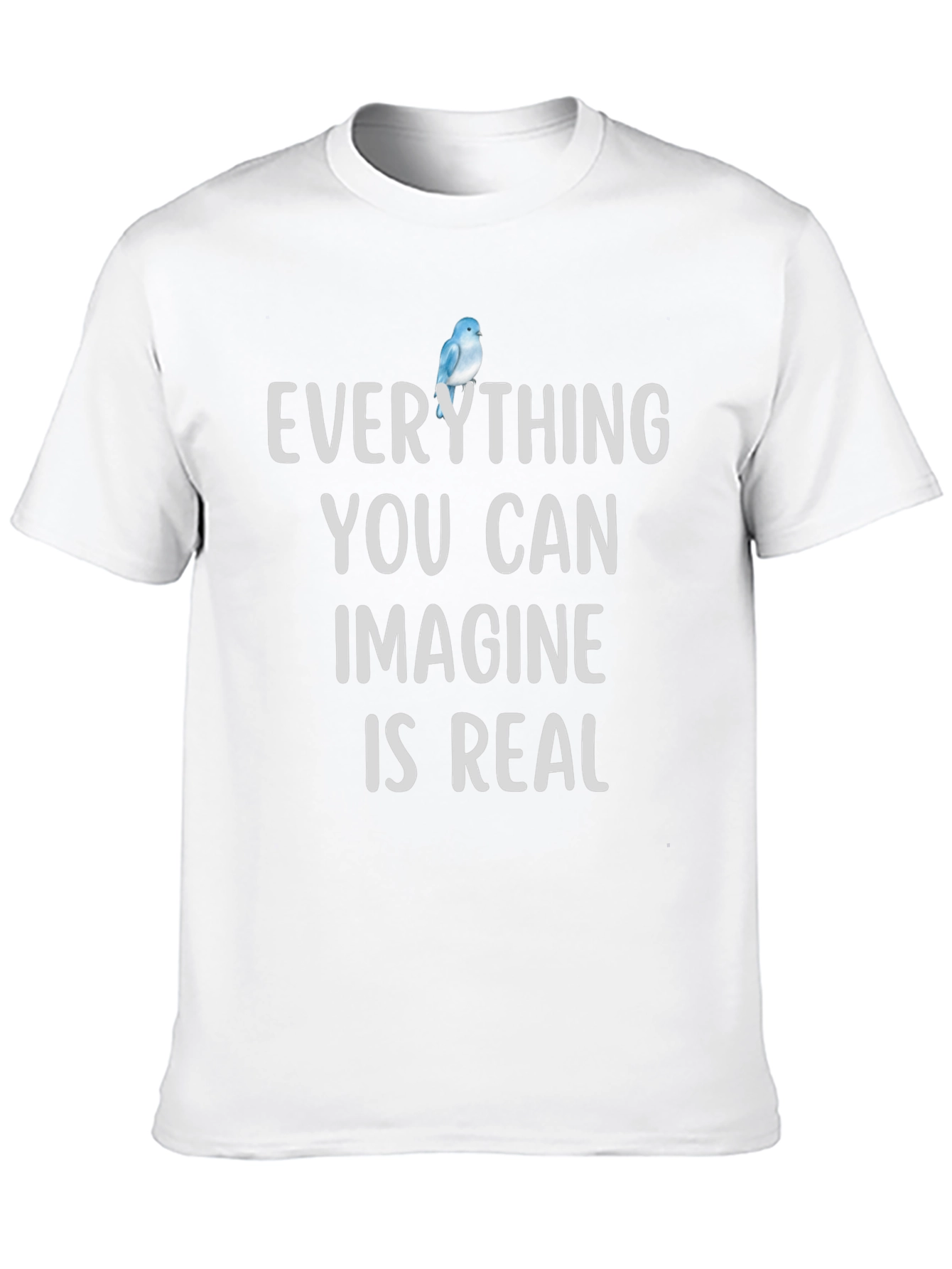 Everything You Can Imagine T-Shirt