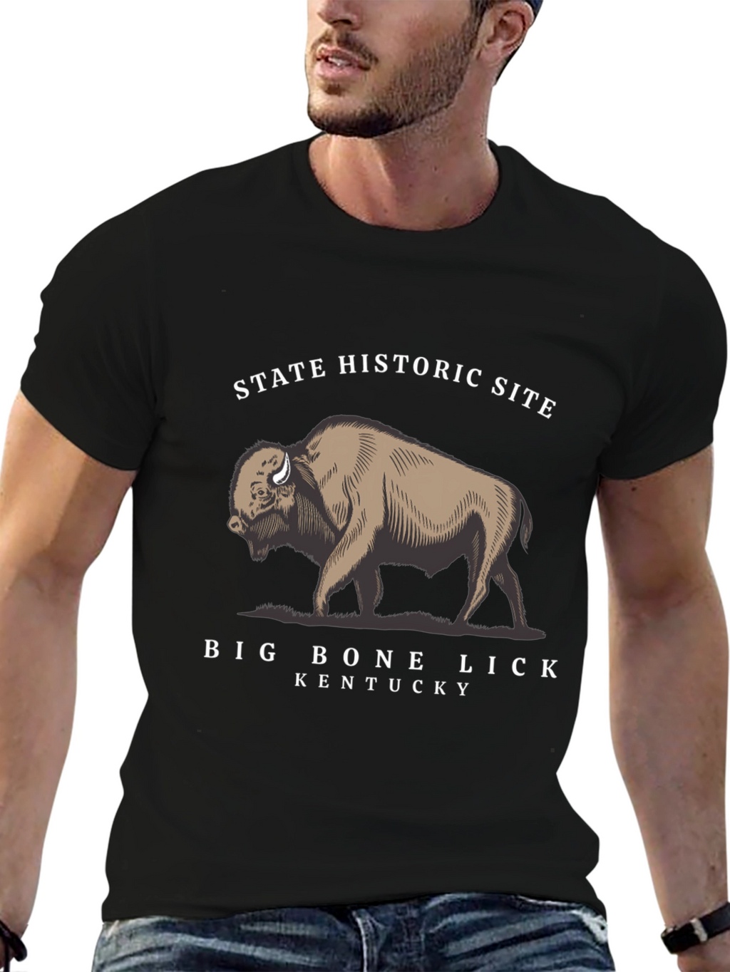 Big Bone Lick Kentucky Bison T-Shirt