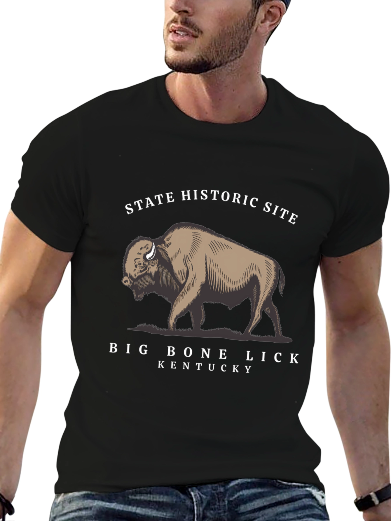 Big Bone Lick Kentucky Bison T-Shirt