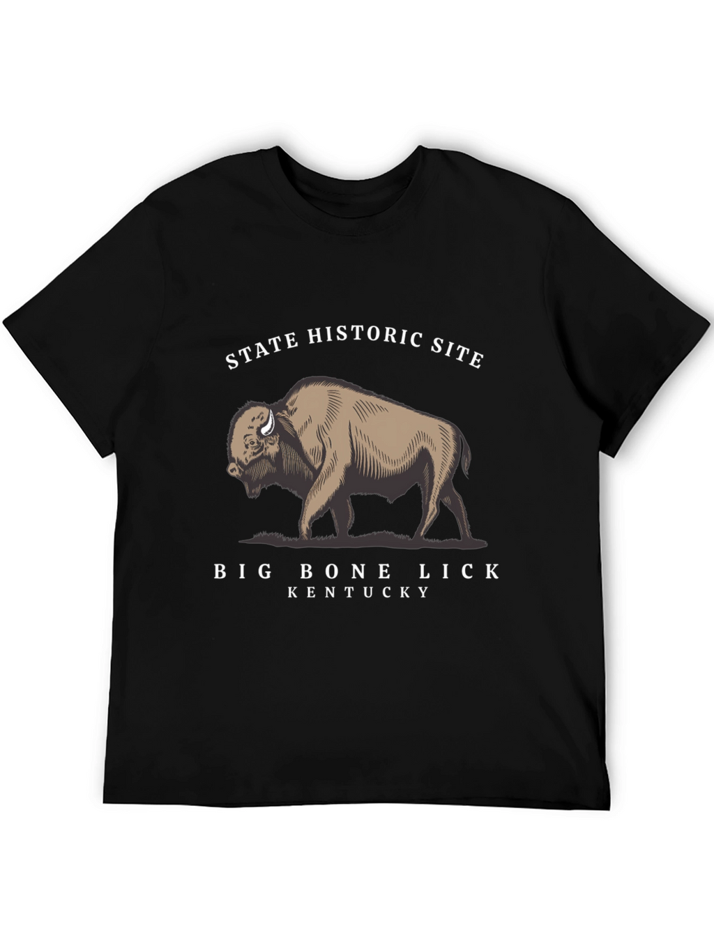 Big Bone Lick Kentucky Bison T-Shirt