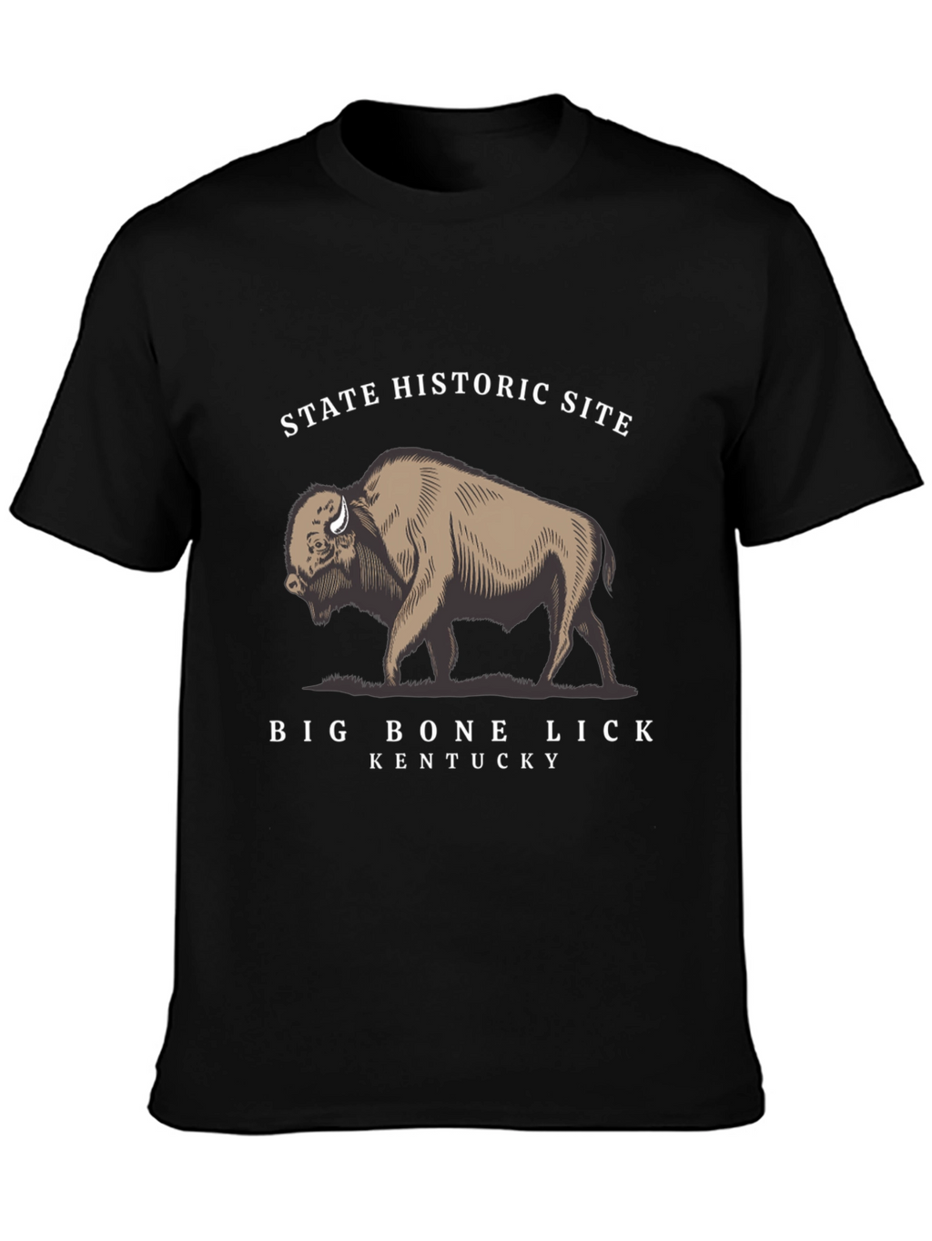 Big Bone Lick Kentucky Bison T-Shirt