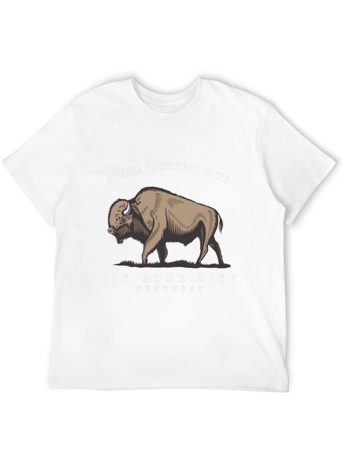 Big Bone Lick Kentucky Bison T-Shirt