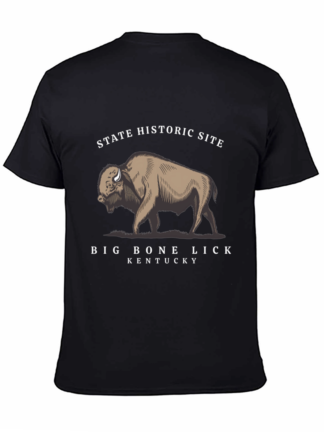 Big Bone Lick Kentucky Bison T-Shirt