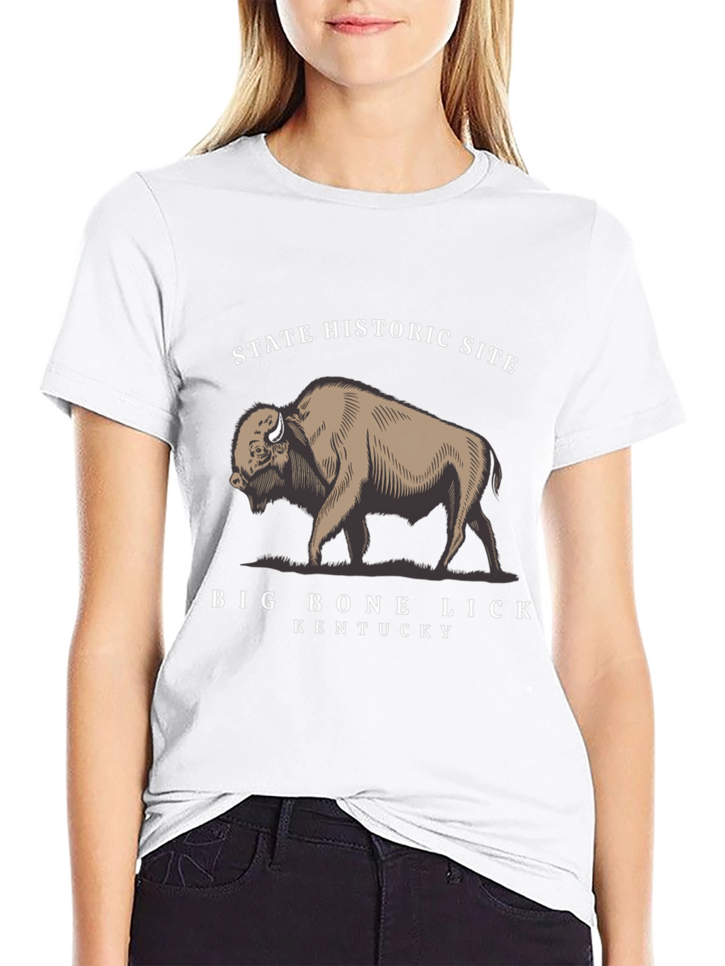 Big Bone Lick Kentucky Bison T-Shirt