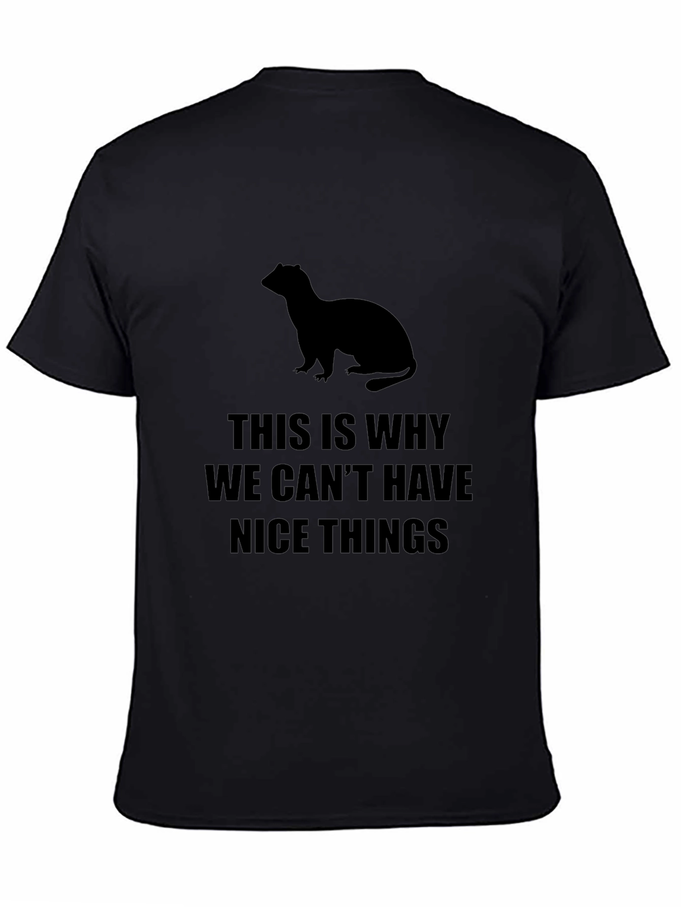 Ferret T-Shirt - This Is Why We Cant Have Nice Things