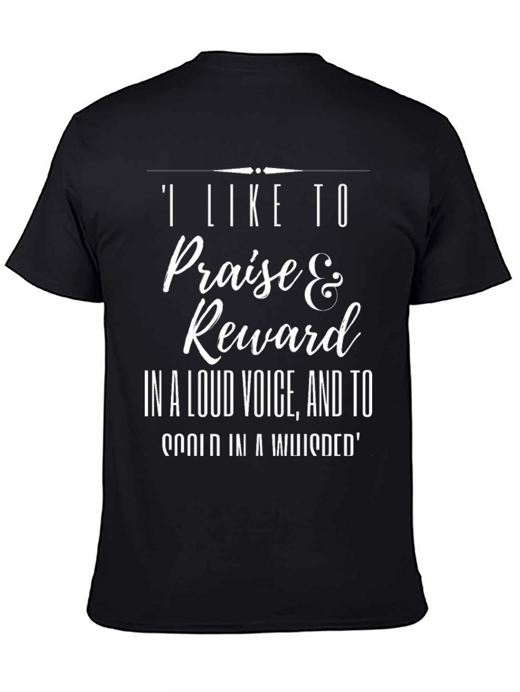 Funny Sarcastic T-Shirt: Praise & Reward