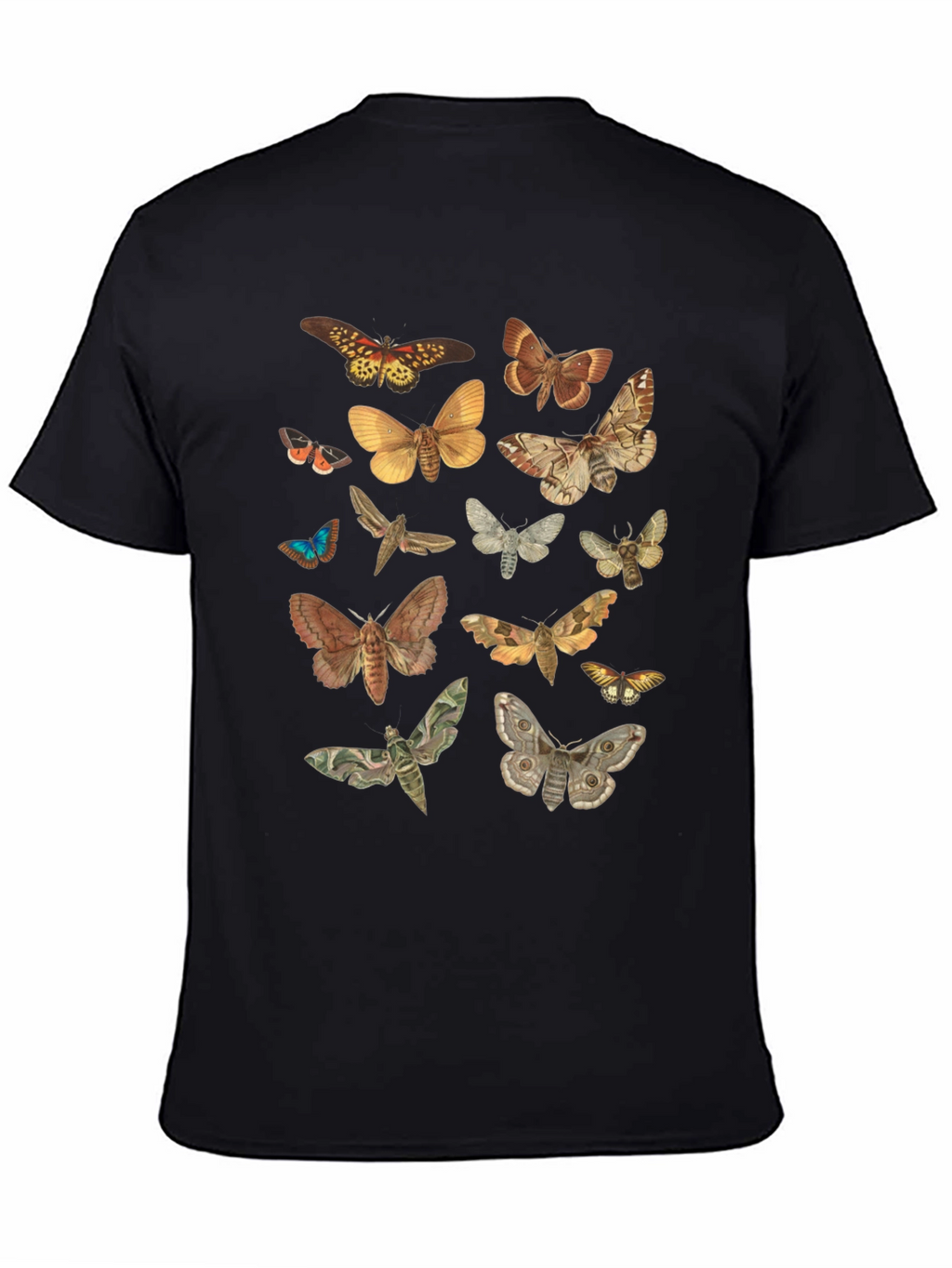 Moth Print Crew Neck T-Shirt