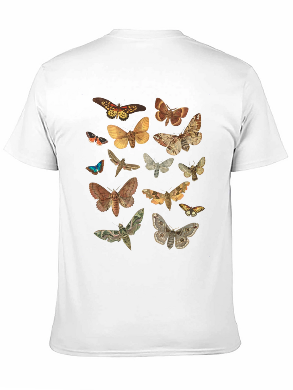 Moth Print Crew Neck T-Shirt
