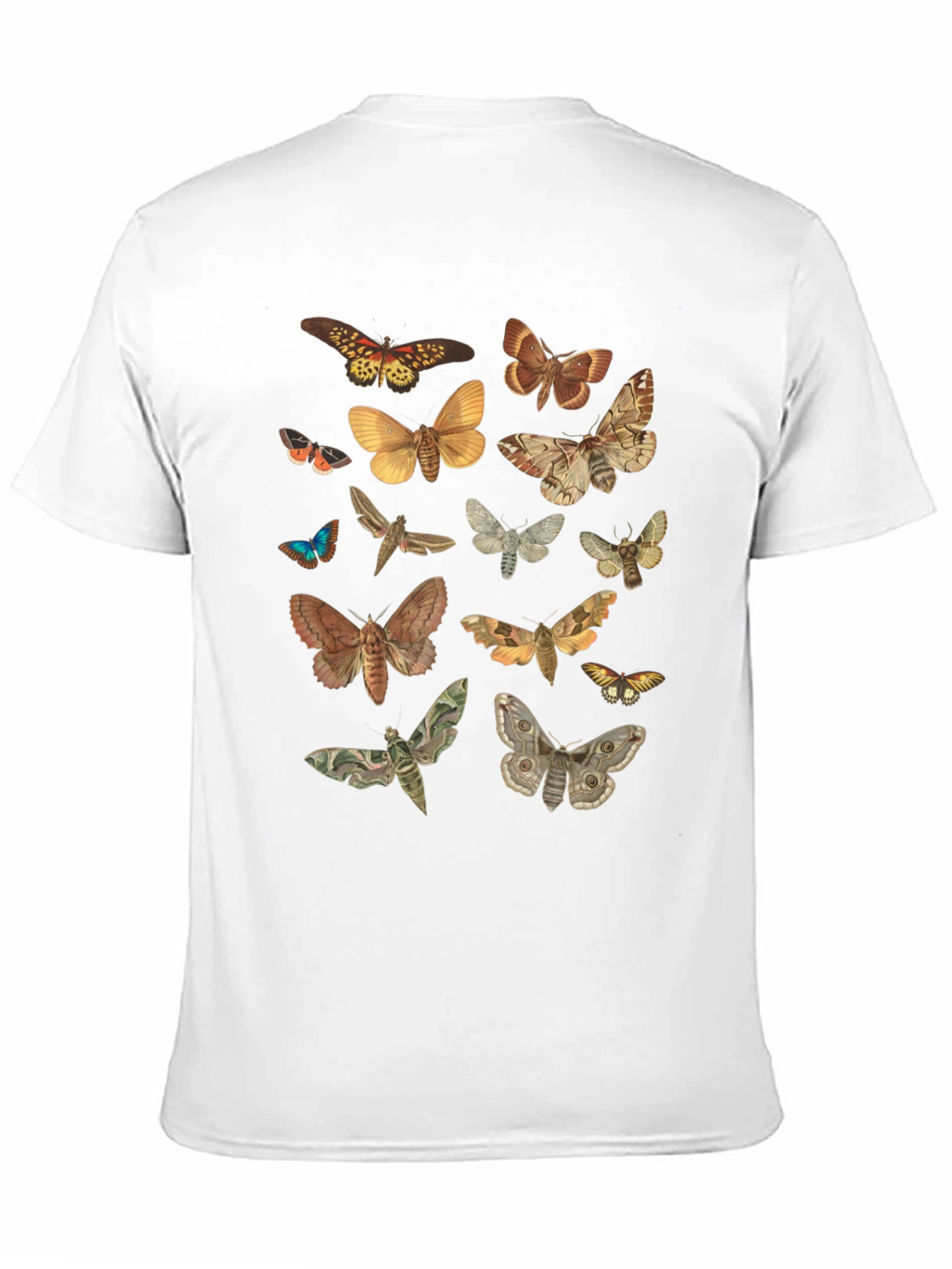 Moth Print Crew Neck T-Shirt