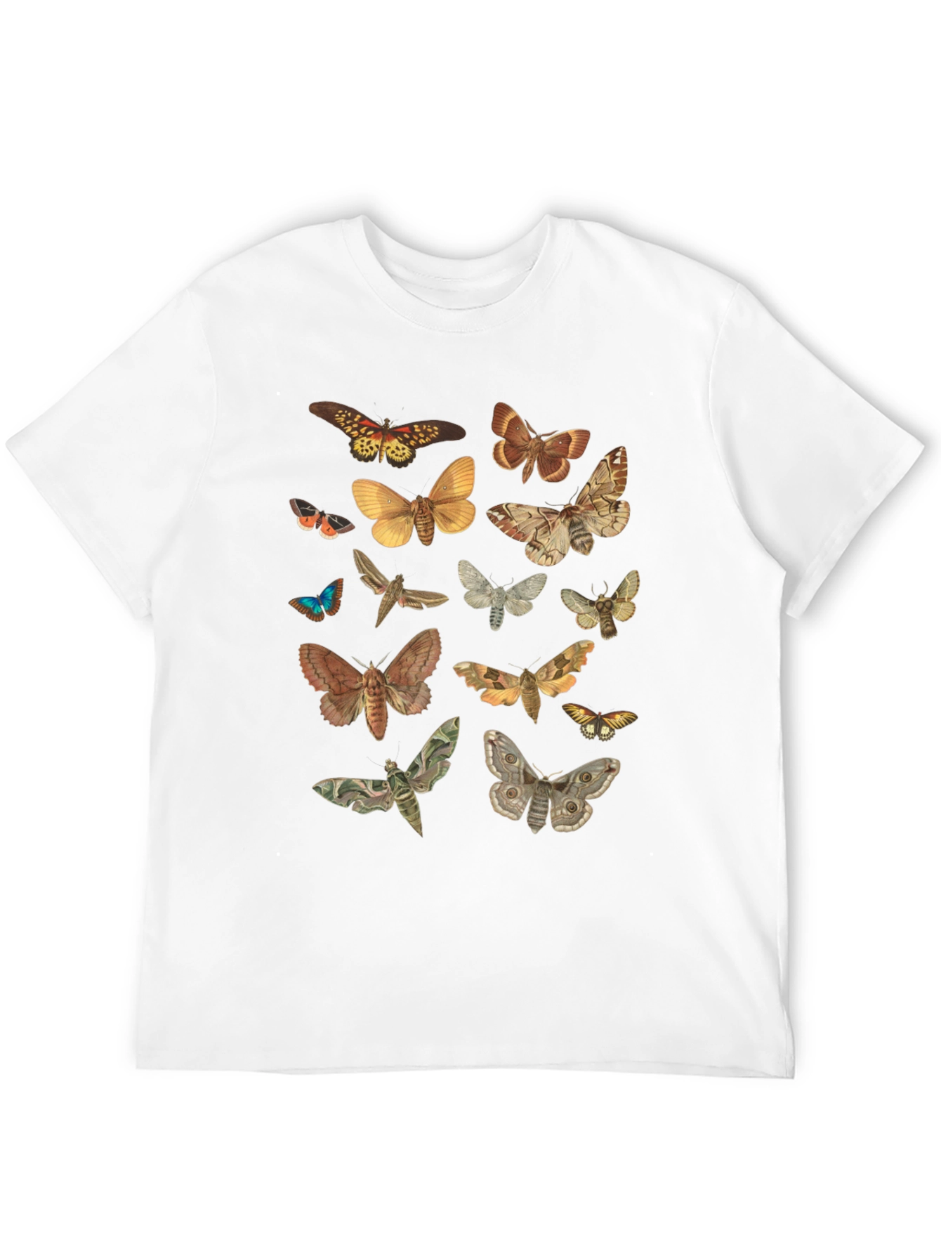 Moth Print Crew Neck T-Shirt