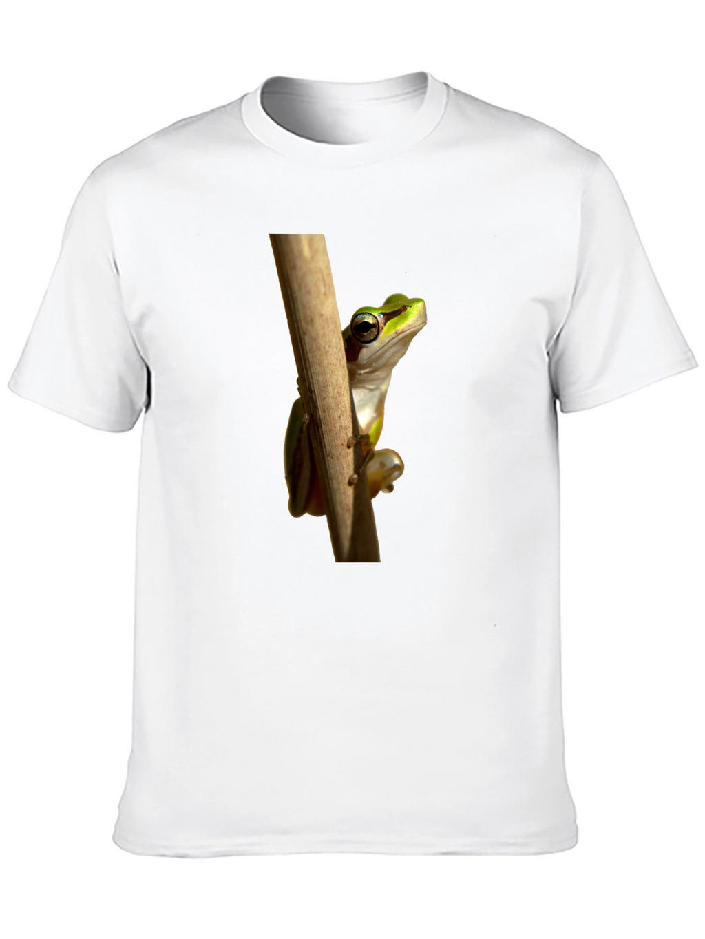 Frog on Branch Graphic T-Shirt - Black