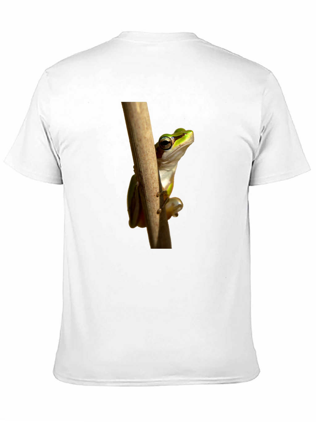 Frog on Branch Graphic T-Shirt - Black