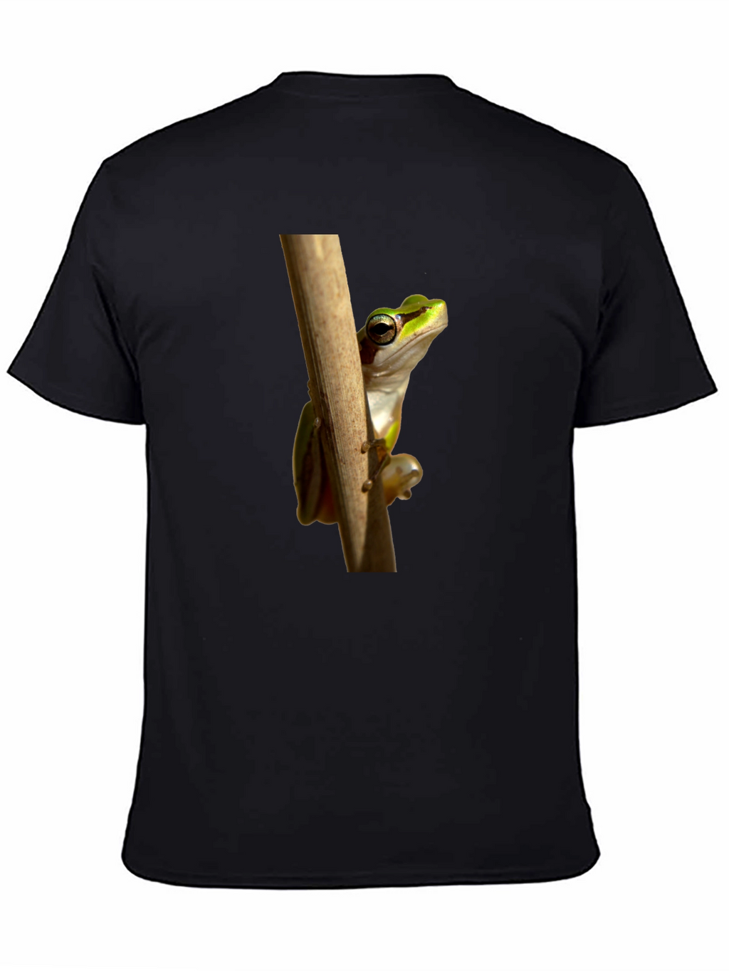 Frog on Branch Graphic T-Shirt - Black