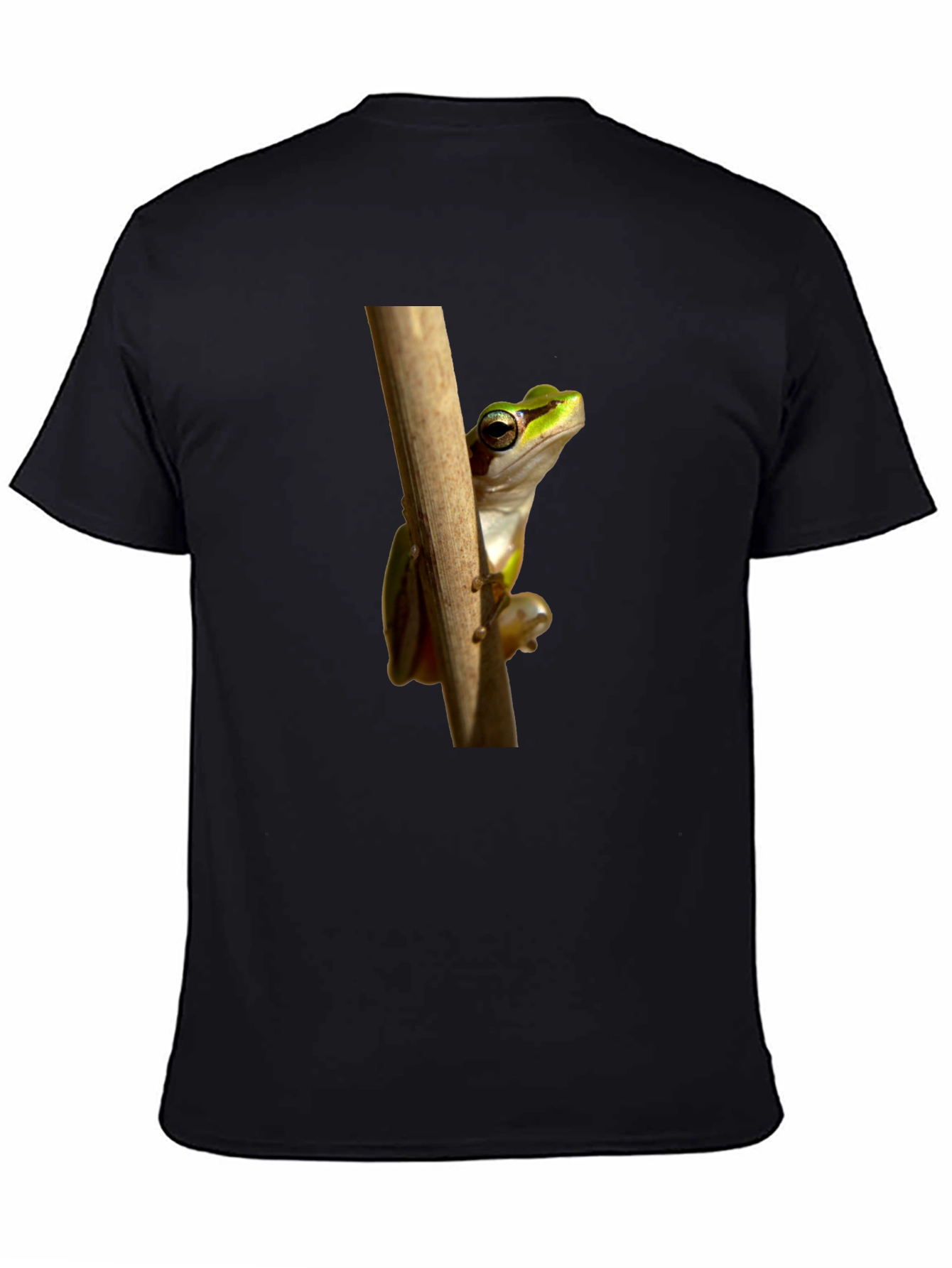 Frog on Branch Graphic T-Shirt - Black