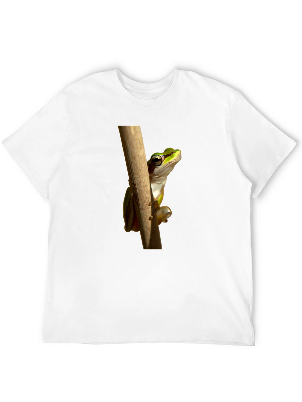 Frog on Branch Graphic T-Shirt - Black