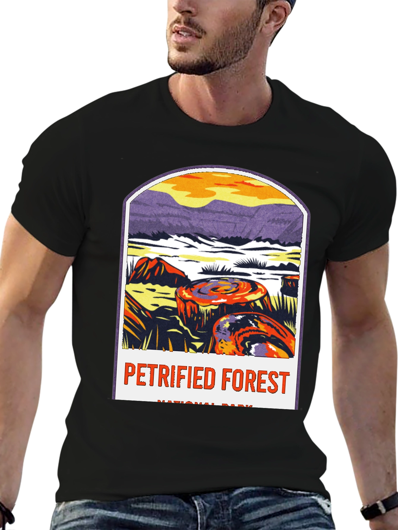 Petrified Forest National Park Graphic Tee