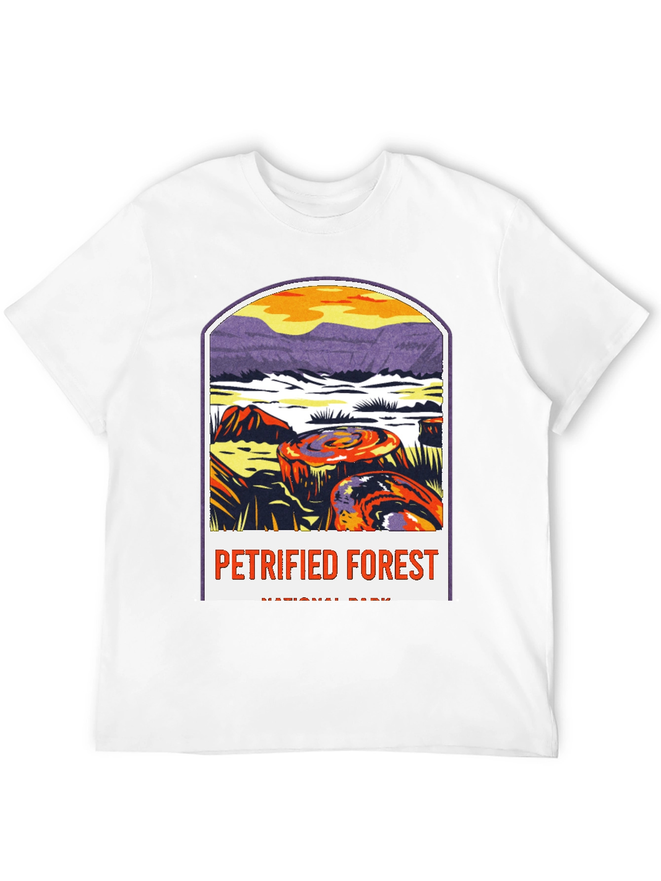 Petrified Forest National Park Graphic Tee