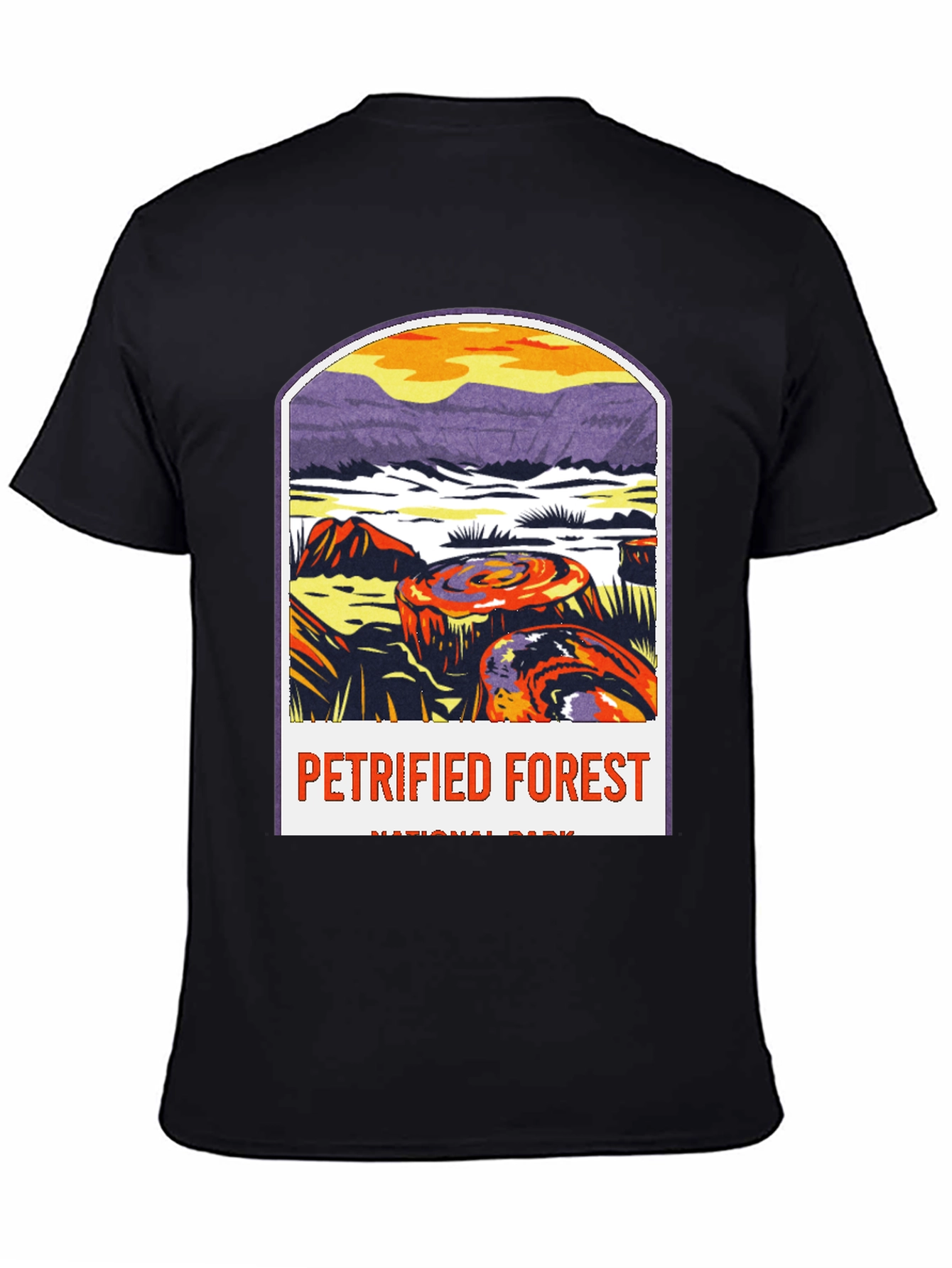 Petrified Forest National Park Graphic Tee