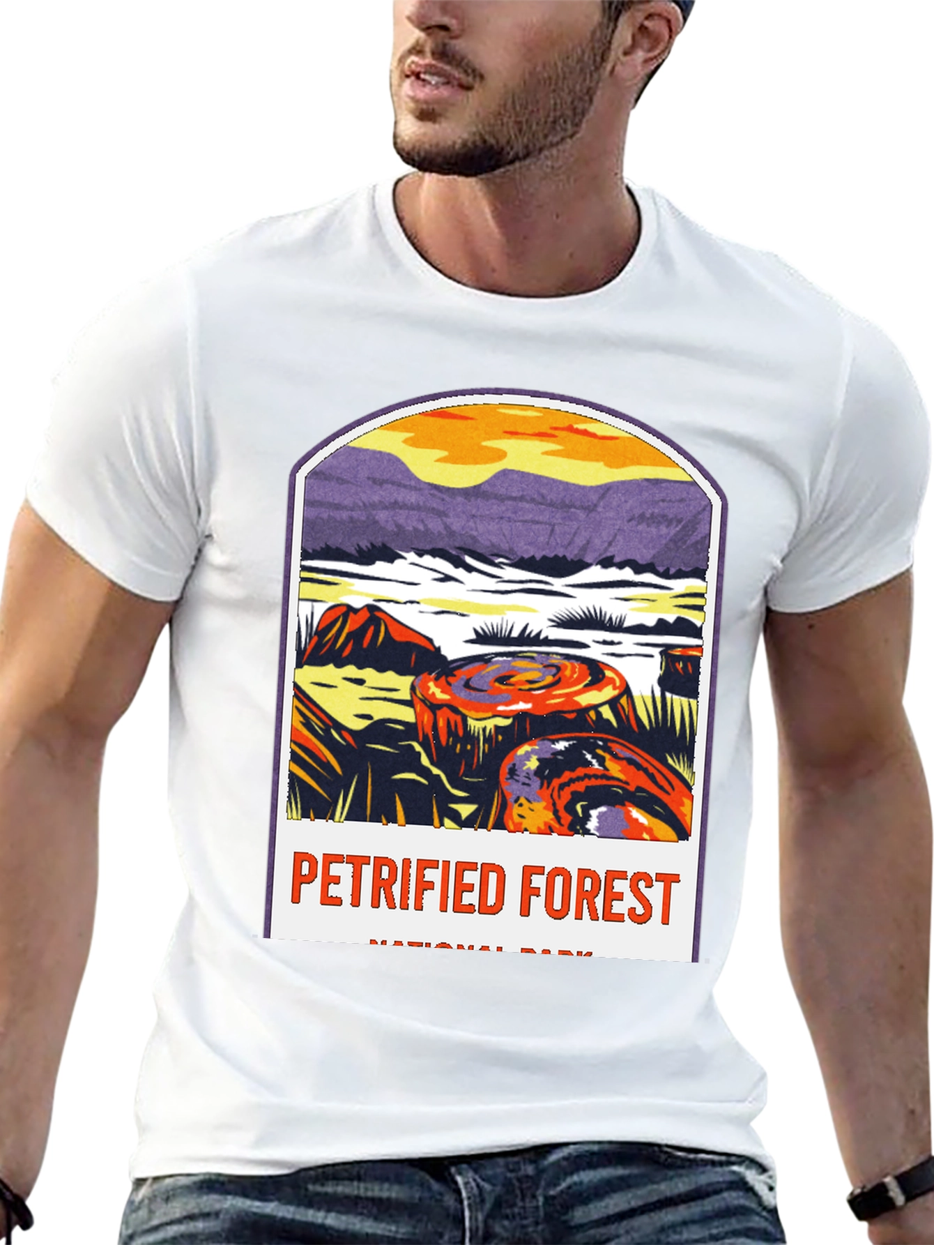 Petrified Forest National Park Graphic Tee
