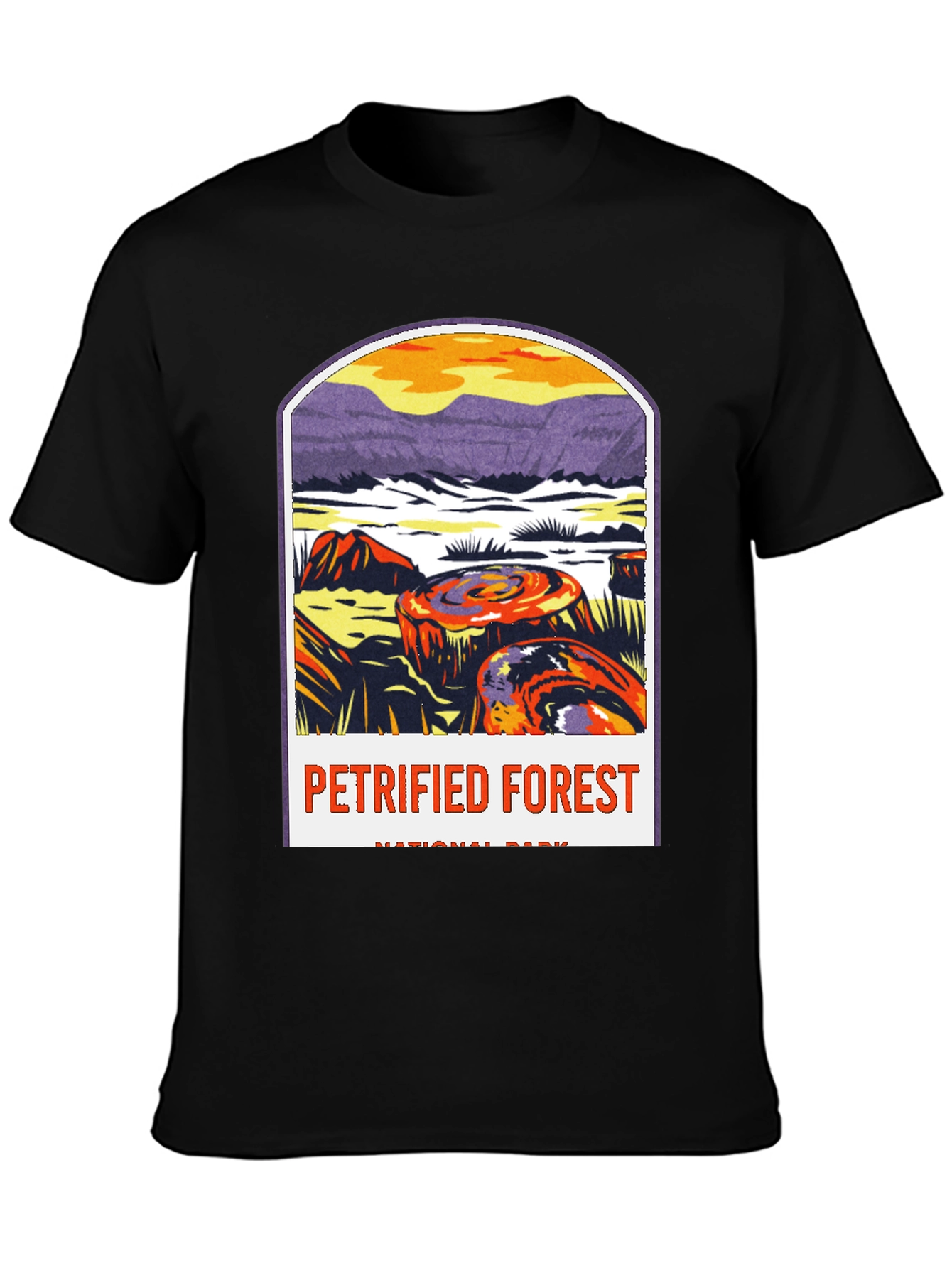 Petrified Forest National Park Graphic Tee