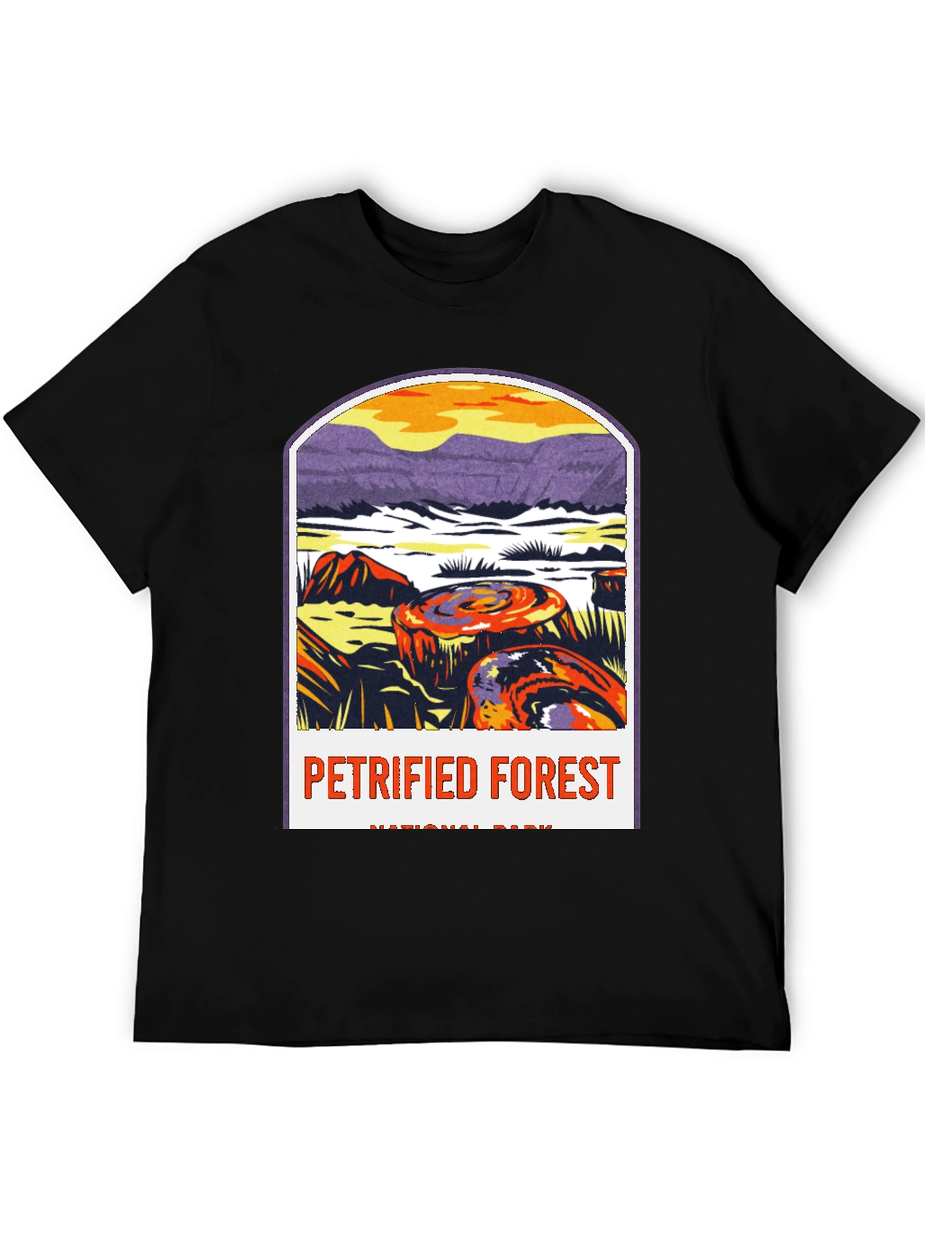 Petrified Forest National Park Graphic Tee